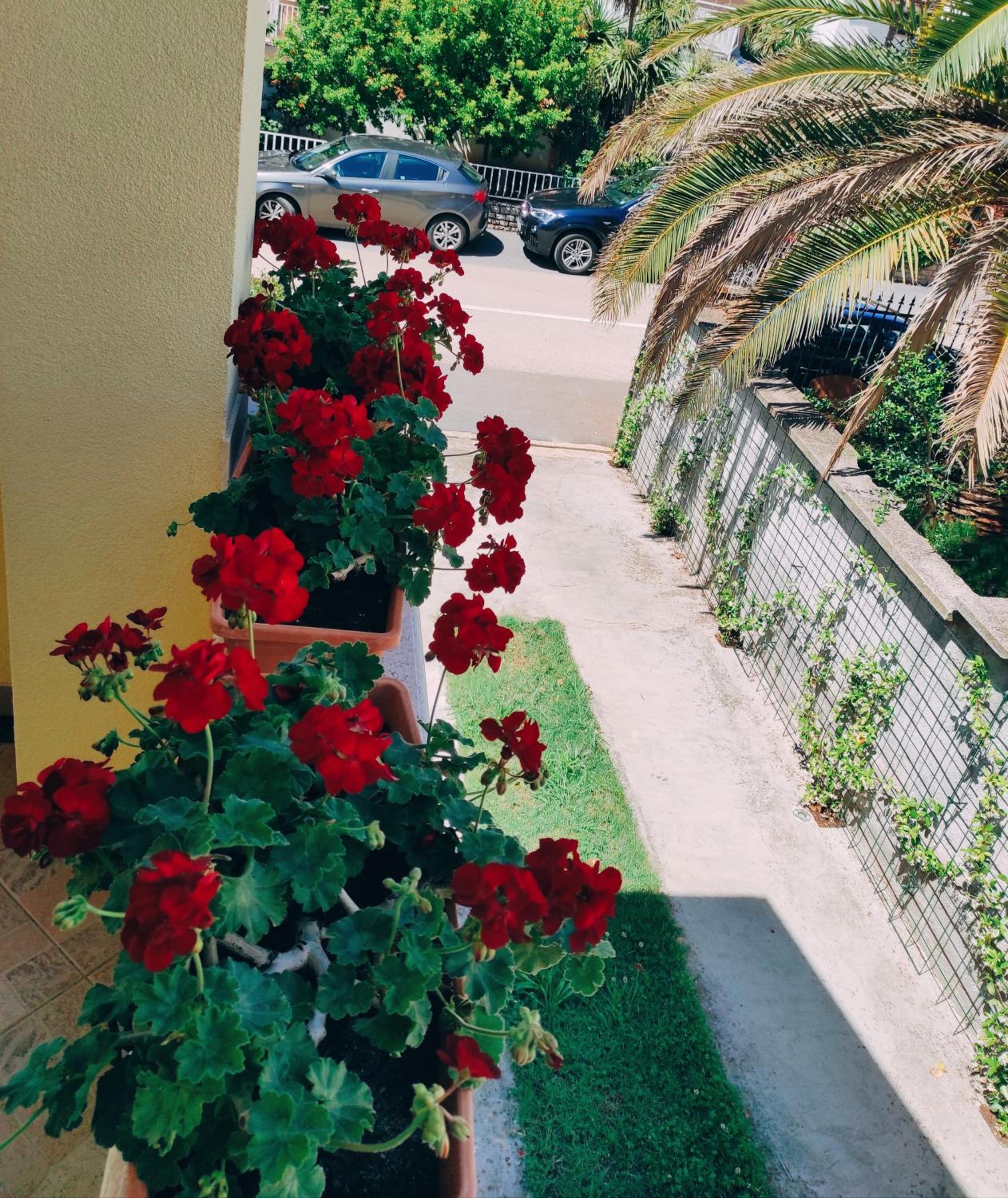 Apartment Novigrad