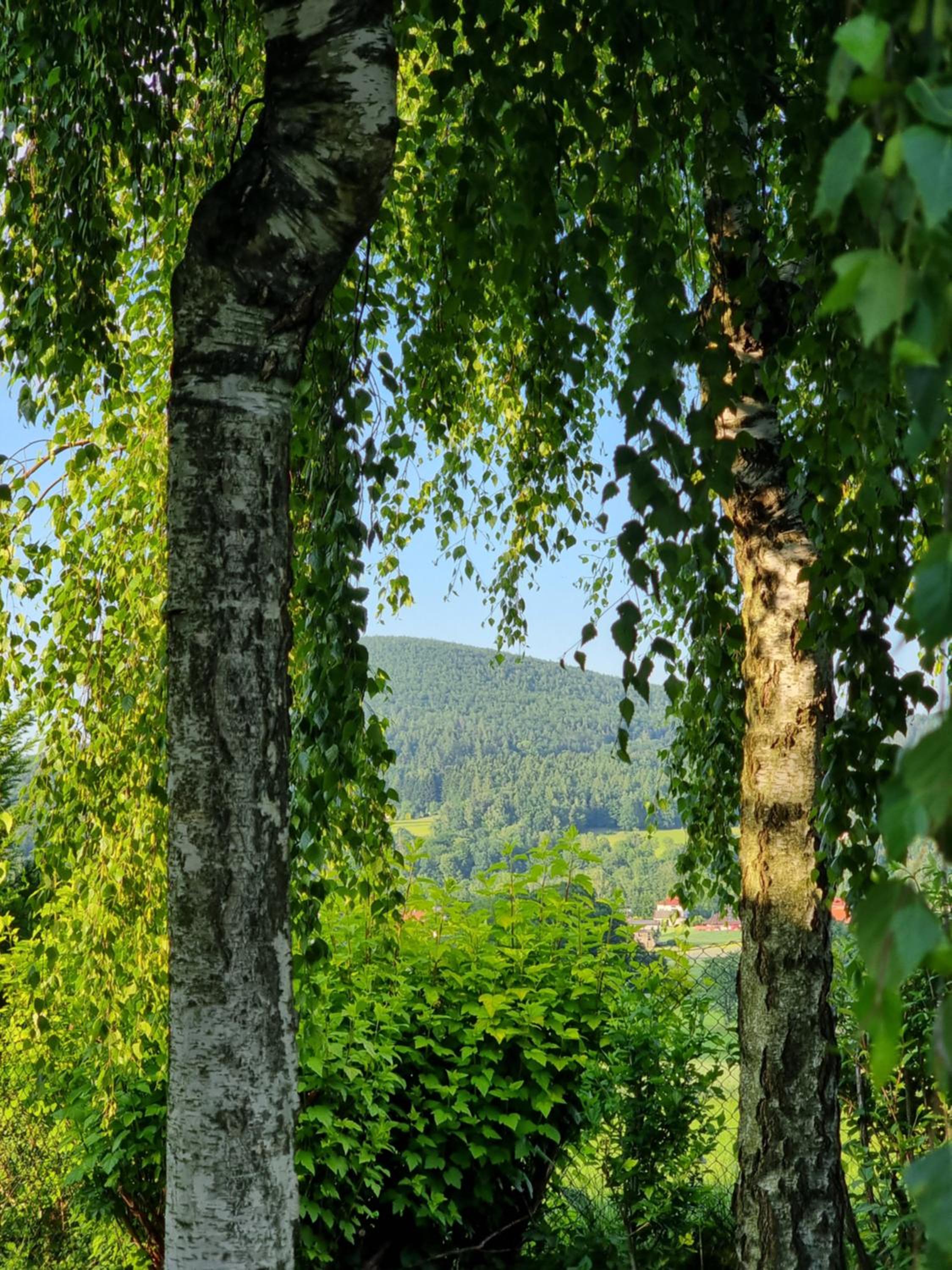 NaszjestWasz