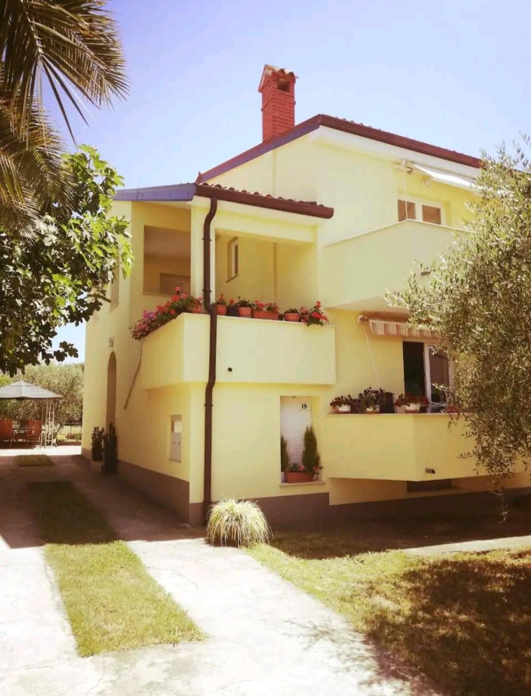 Apartment Novigrad