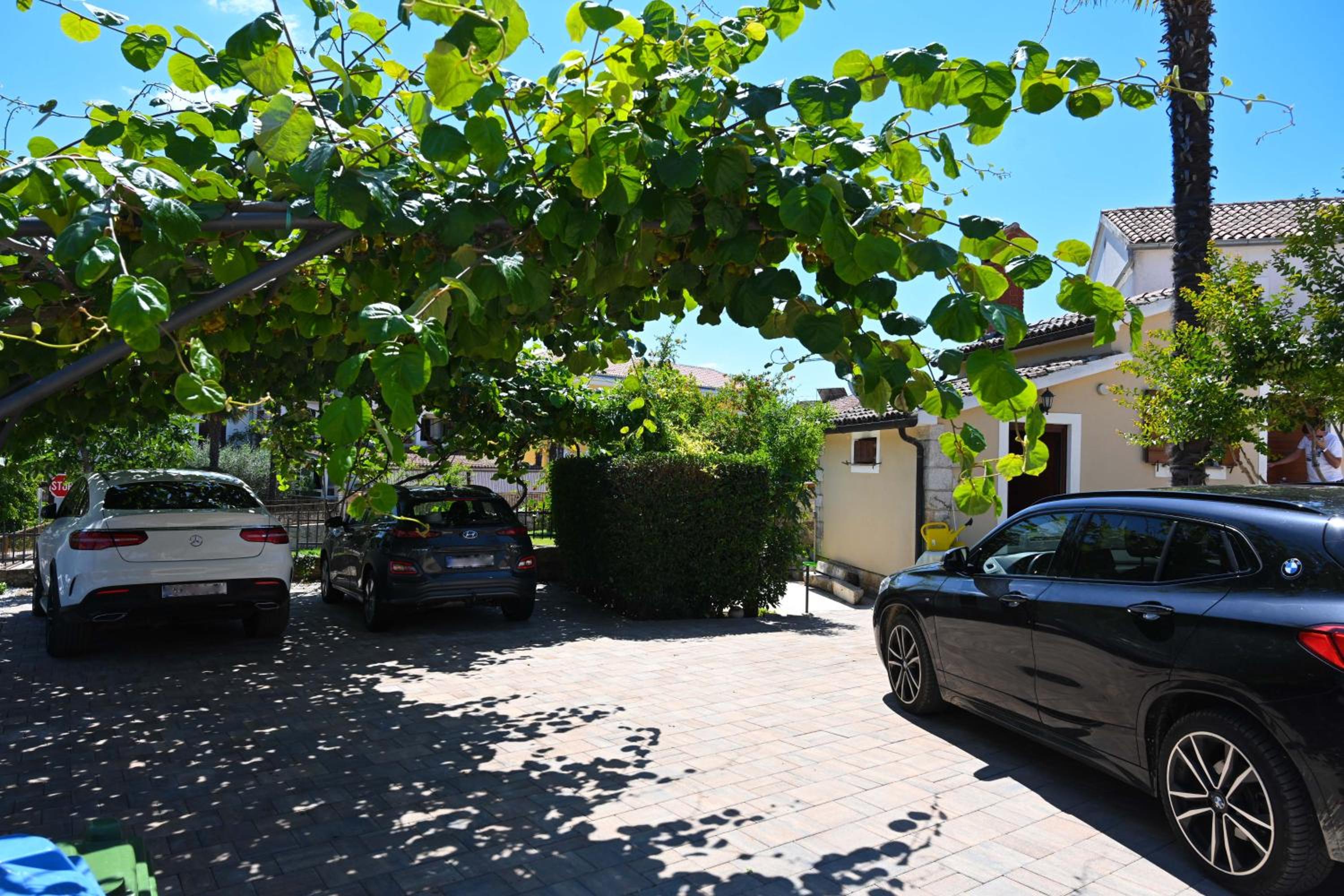 Photo 43