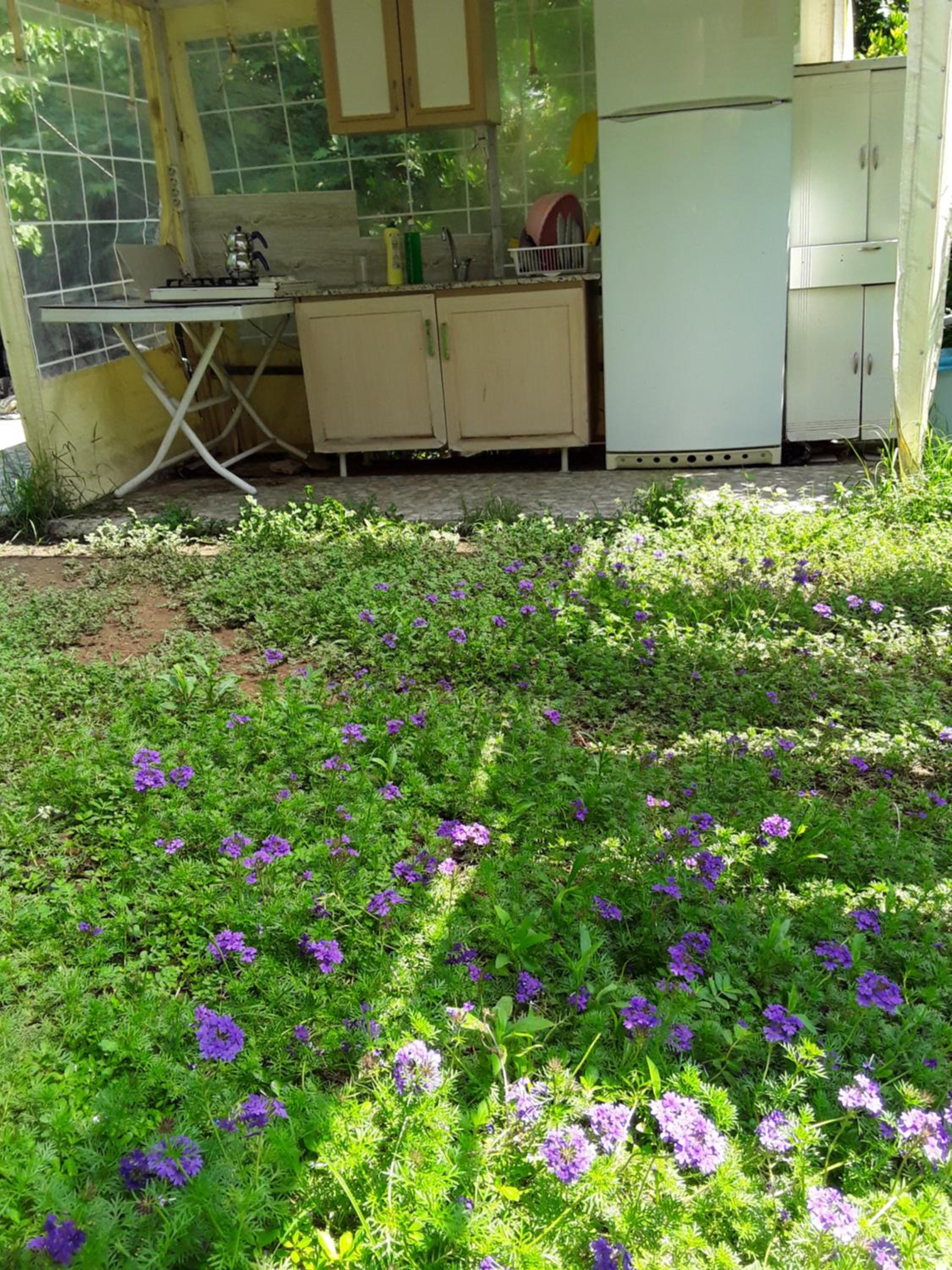 Photo 29