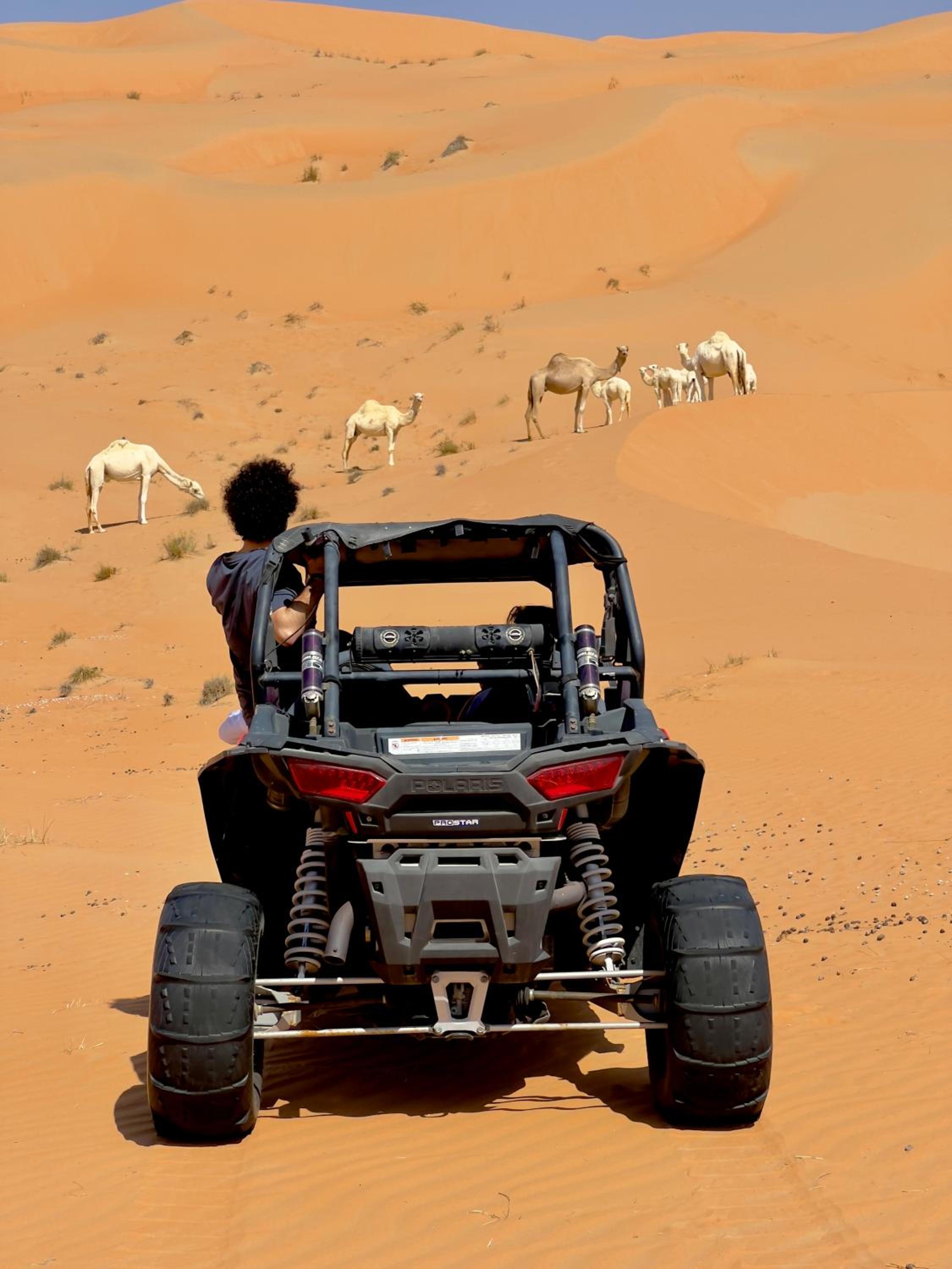 Liwa Nights