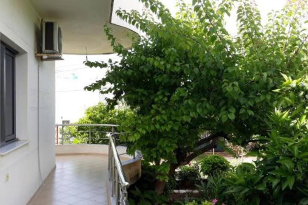 Apartments Meleqi