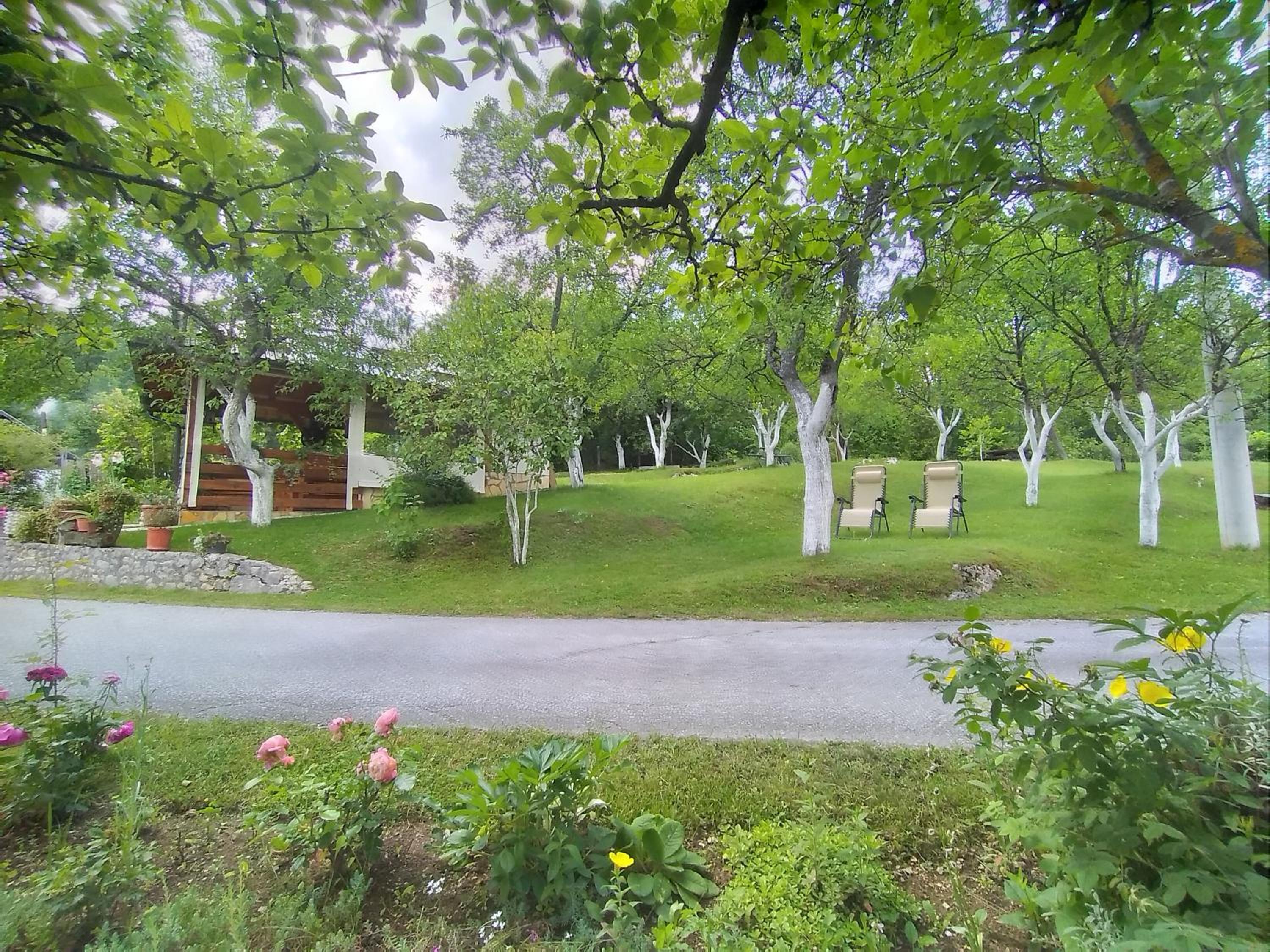 Photo 9