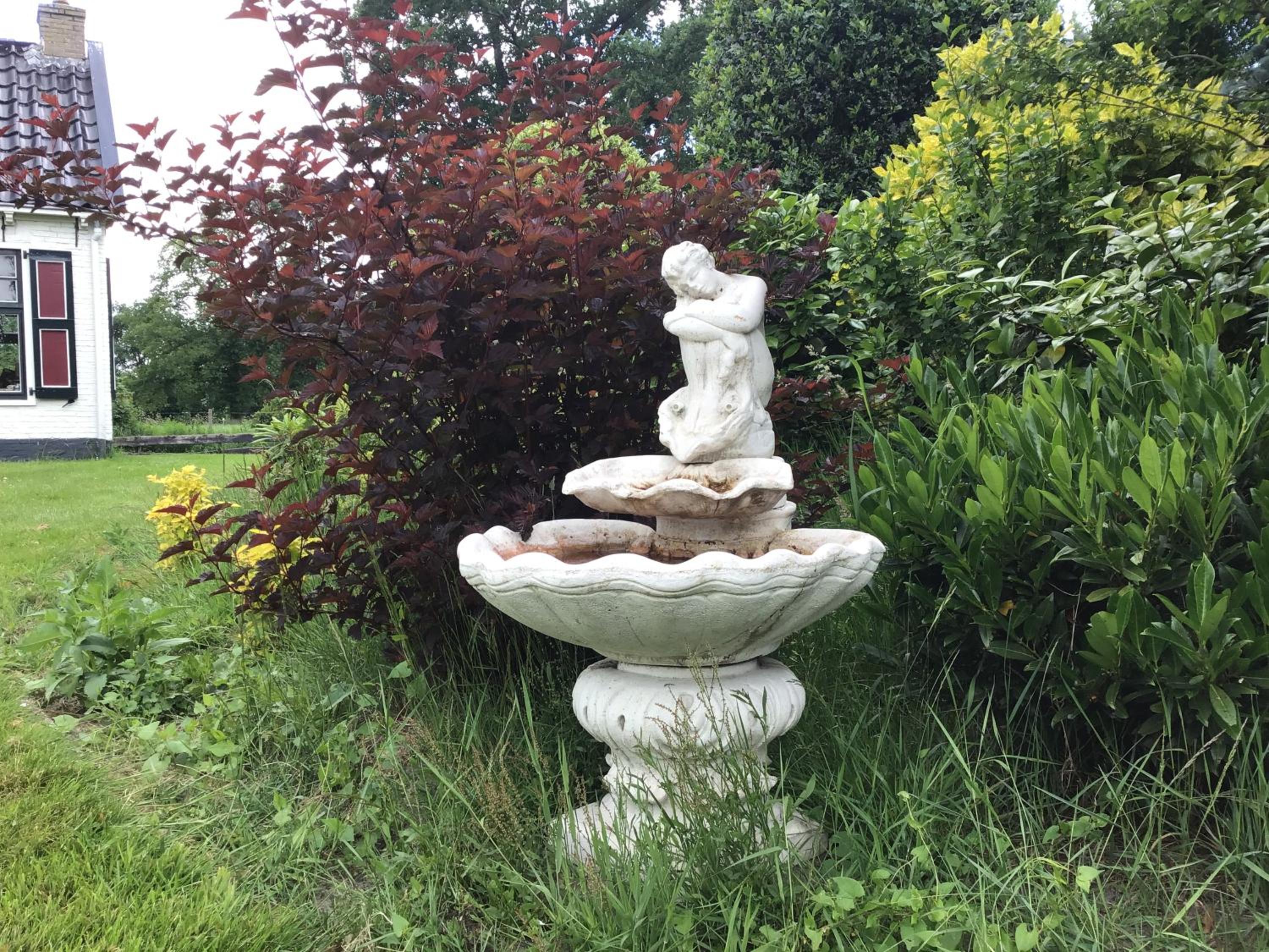 Photo 28