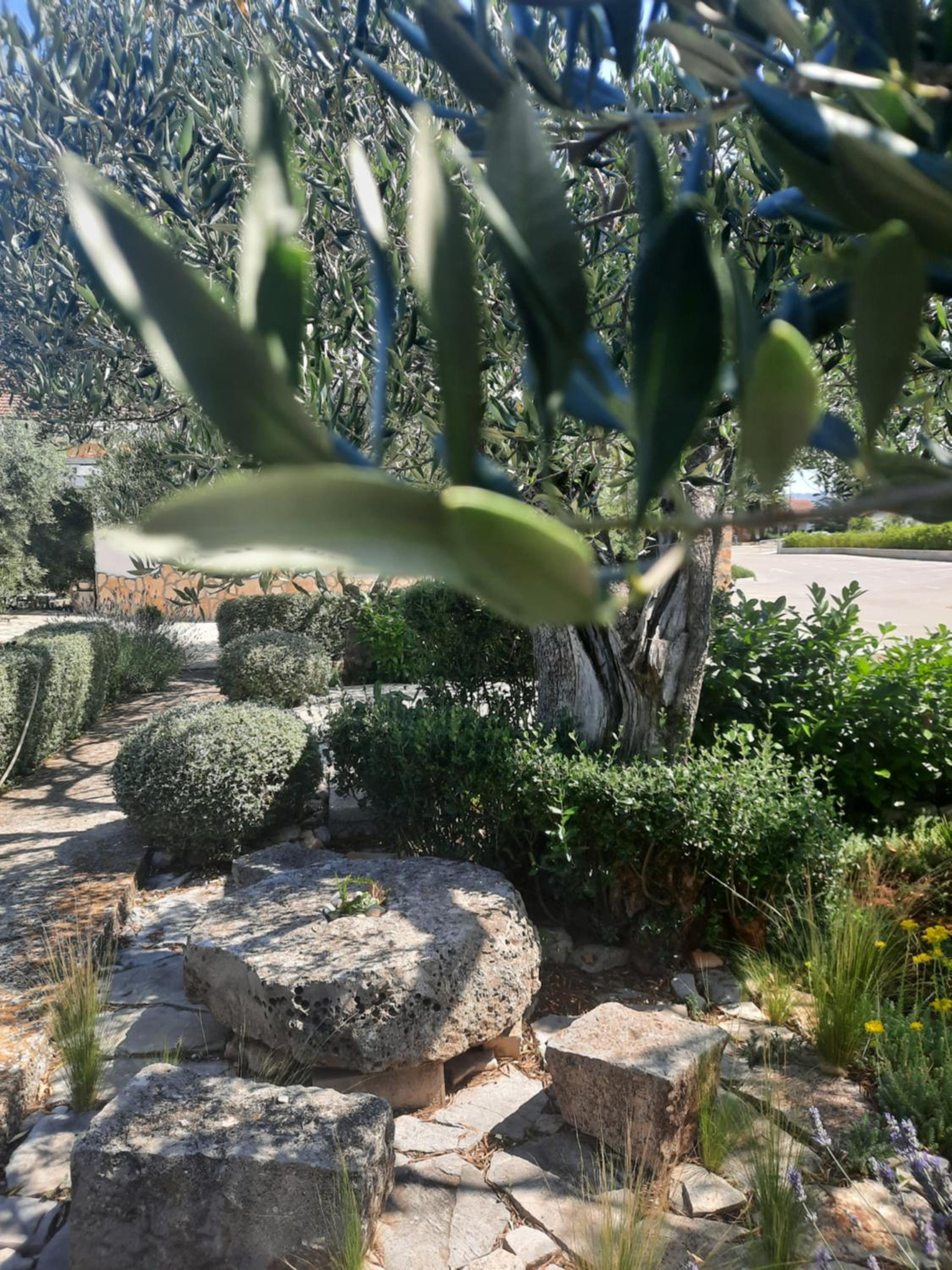 Photo 13