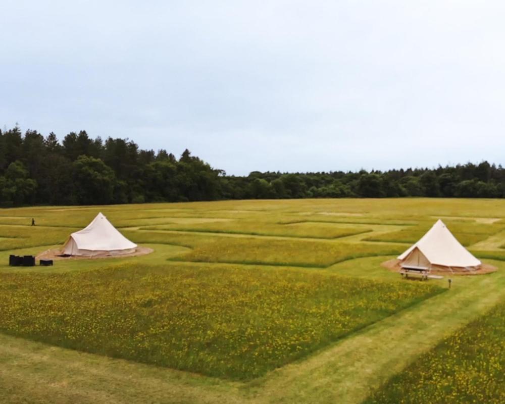 Forest Edge Glamping