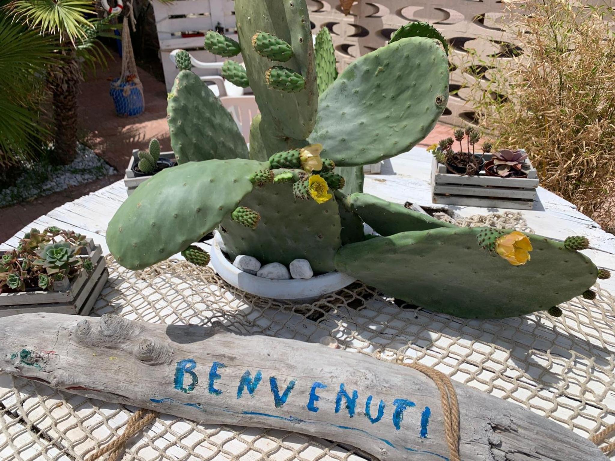 Casa di nonna Benedetta photo 2