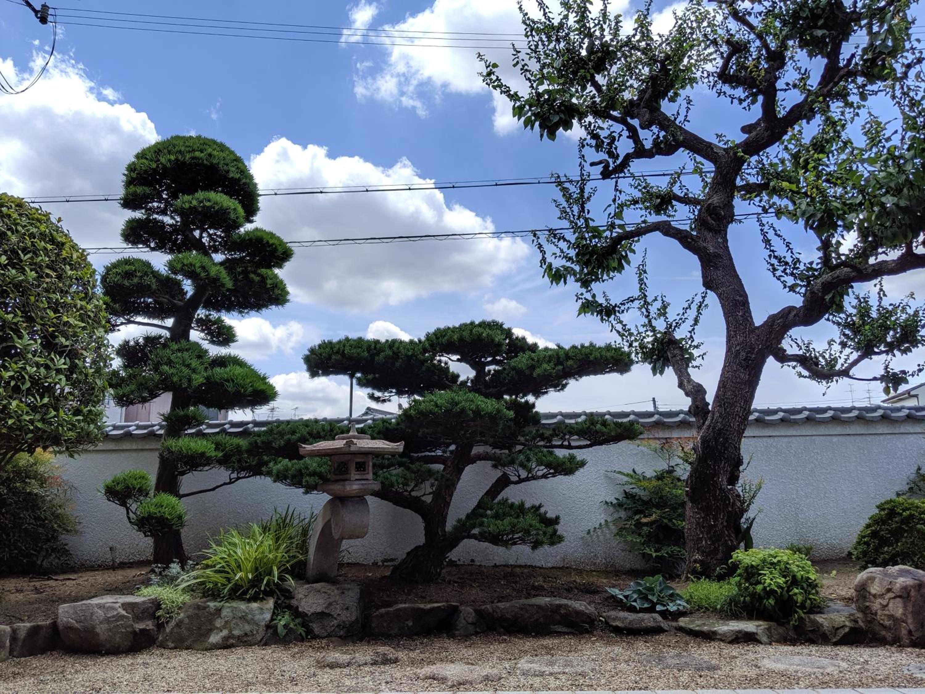 roundabout TOYONAKA
