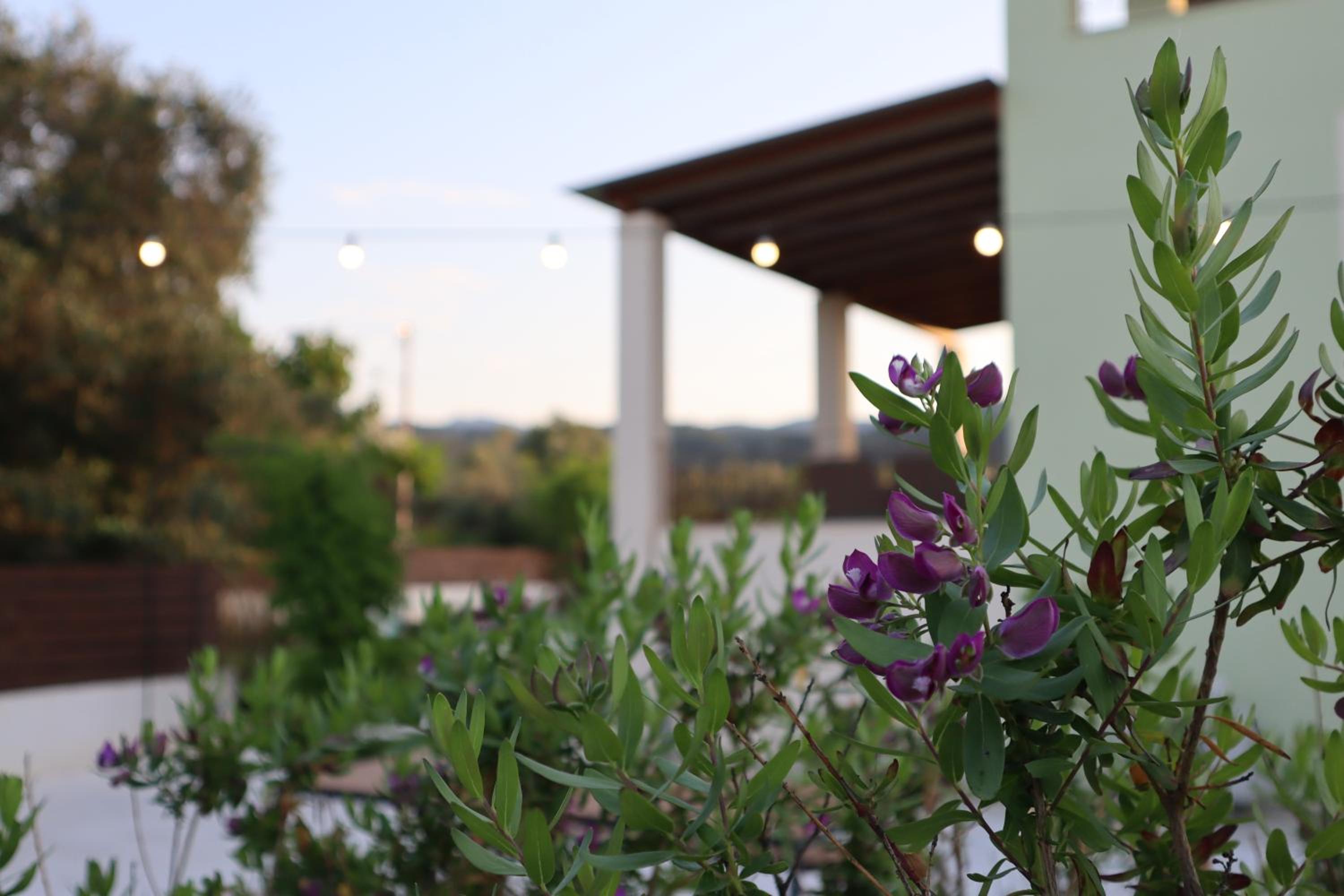 Vicula Mauras view 2