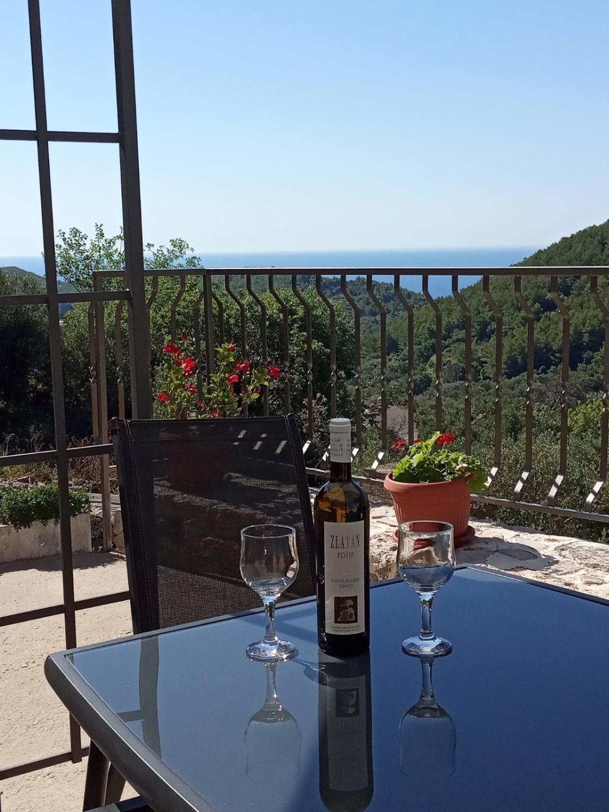 Holiday apartments Maslina Paho view 2