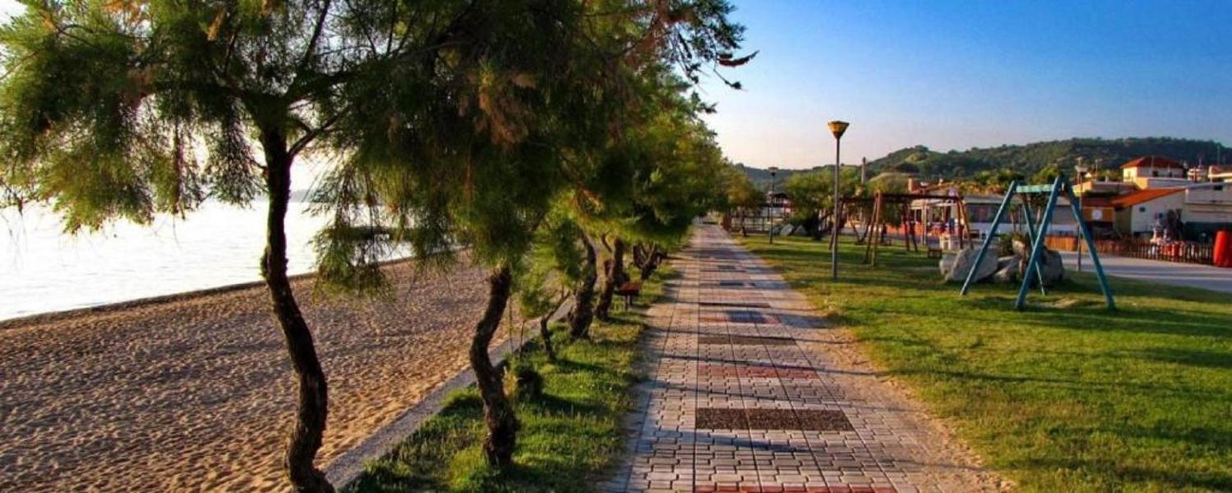 Country House in Olive Grove - Gerakini view 5