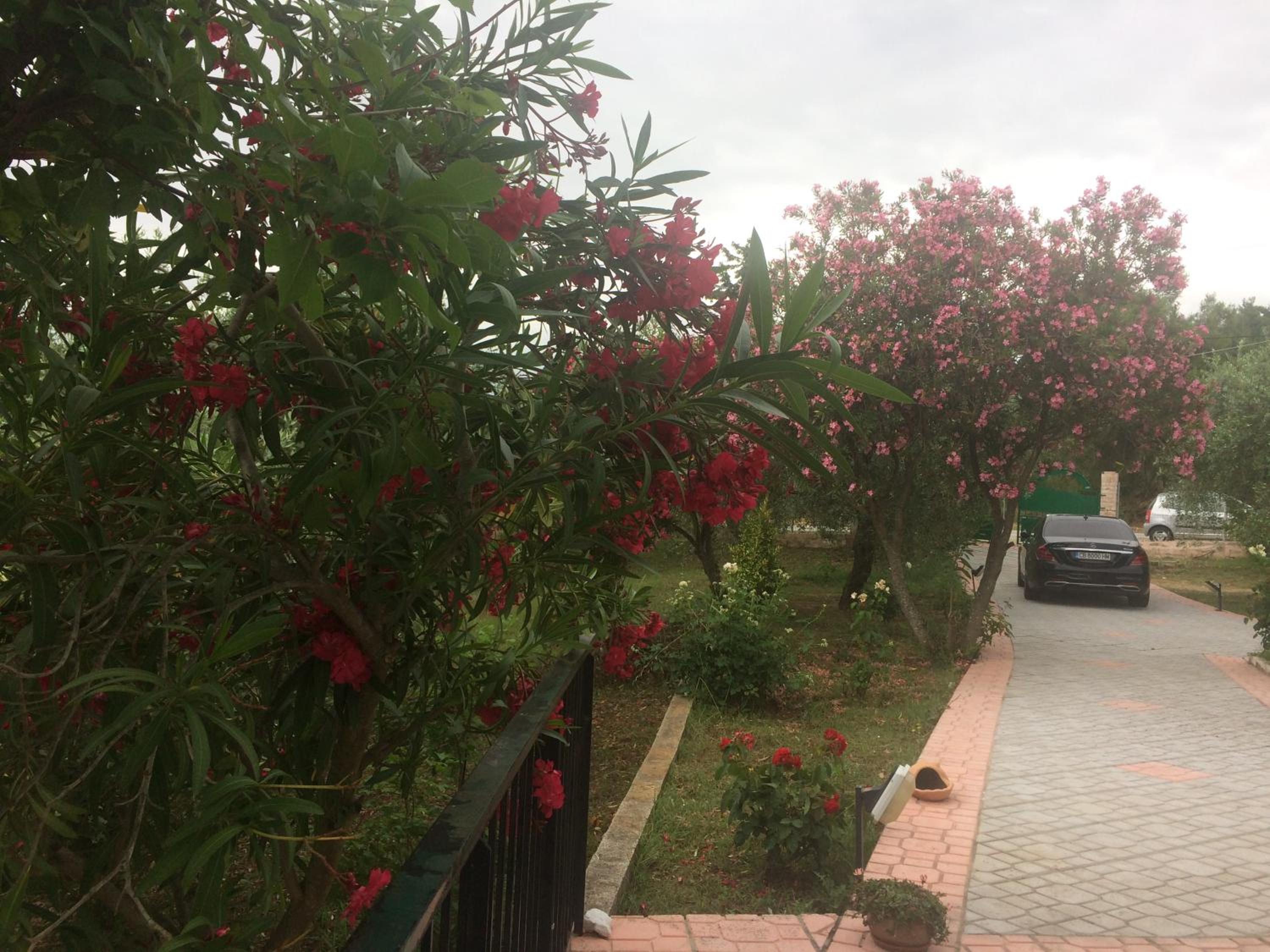 Photo 18