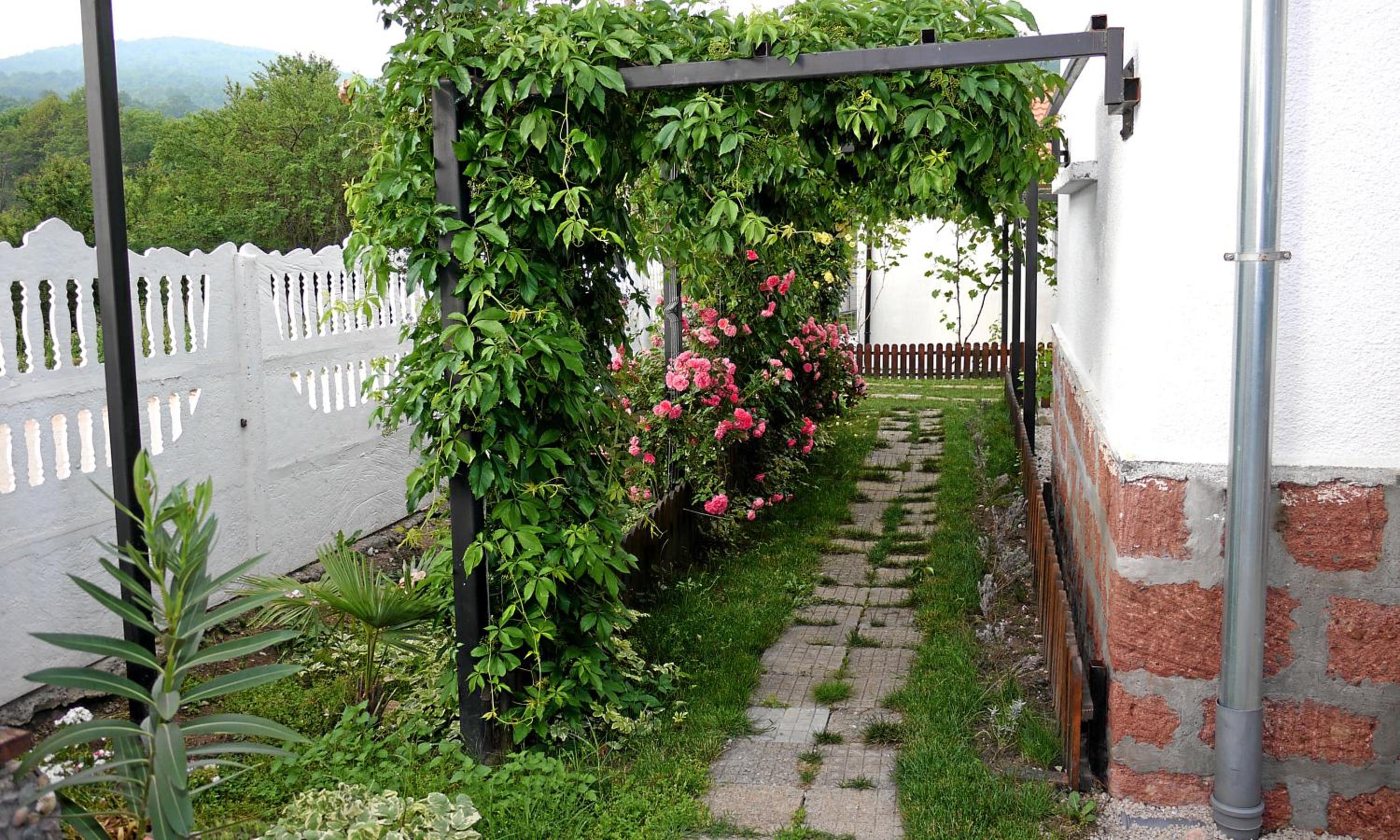 Photo 22