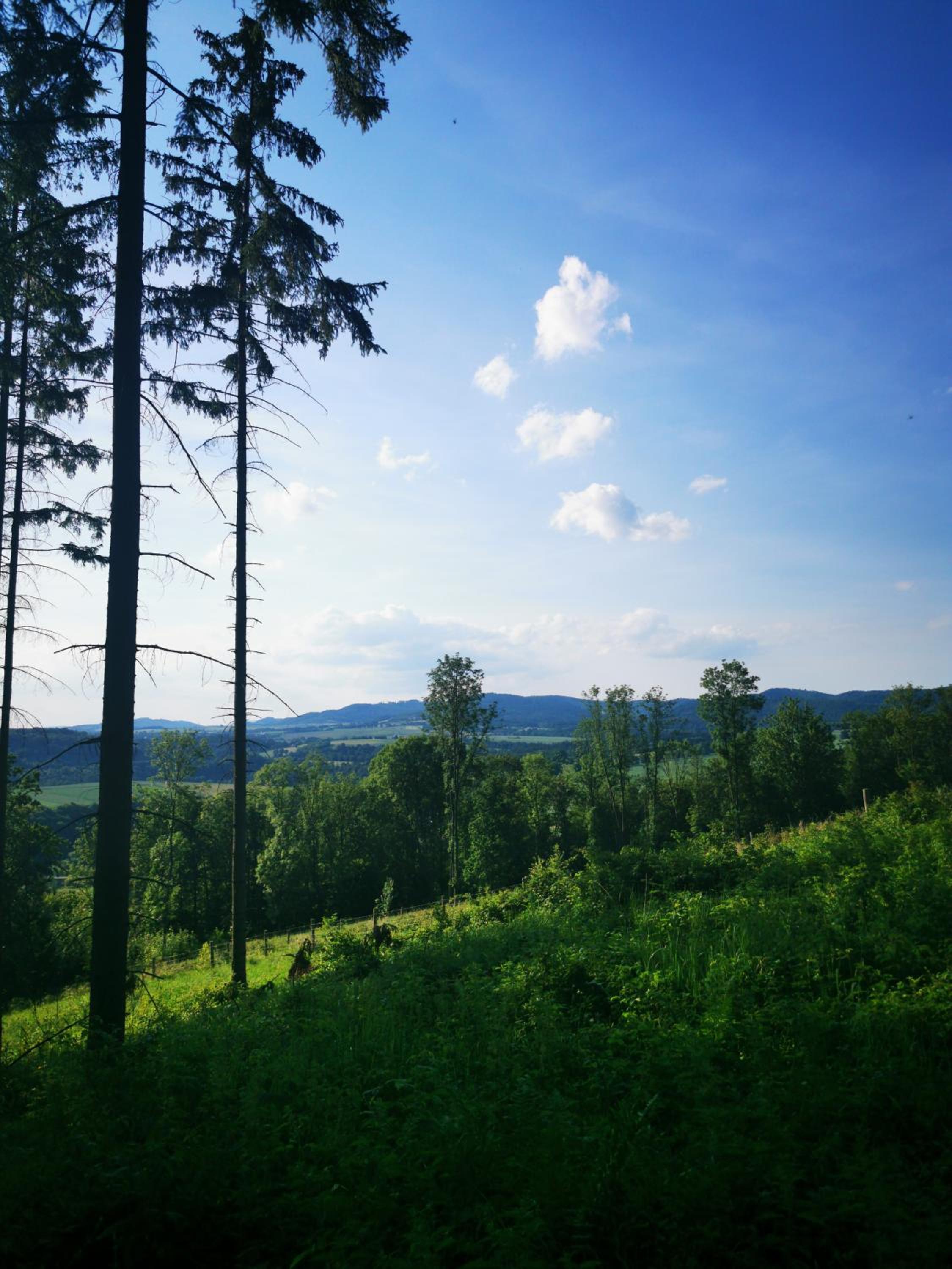 Przystań Dobrej Energii, domki całoroczne z gorącą balią z hydromasażem view 3