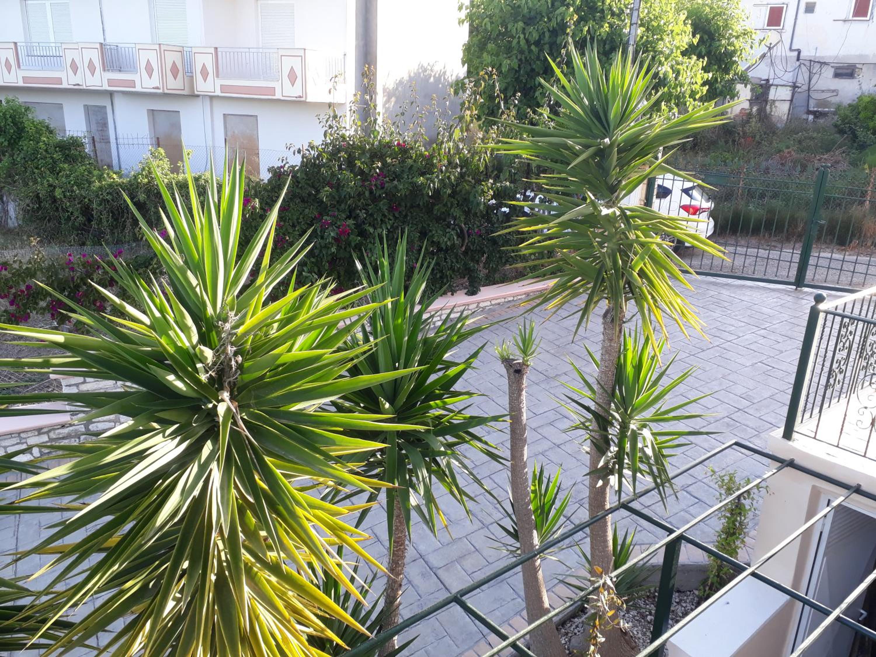 Photo 47