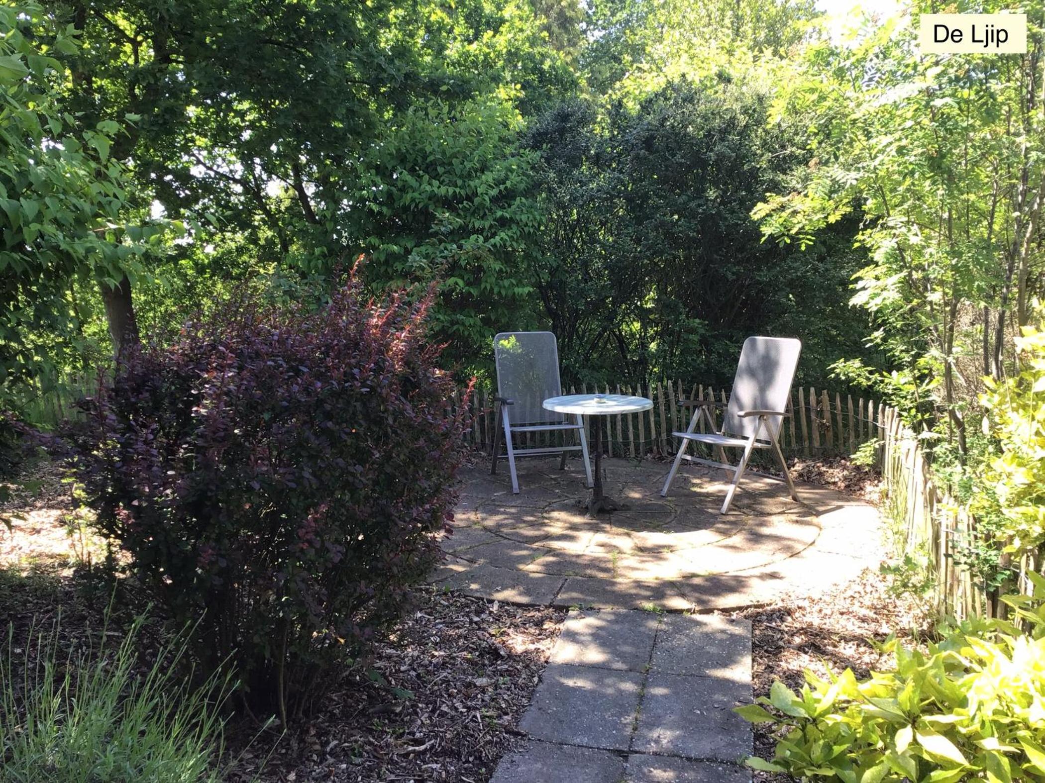 Photo 14