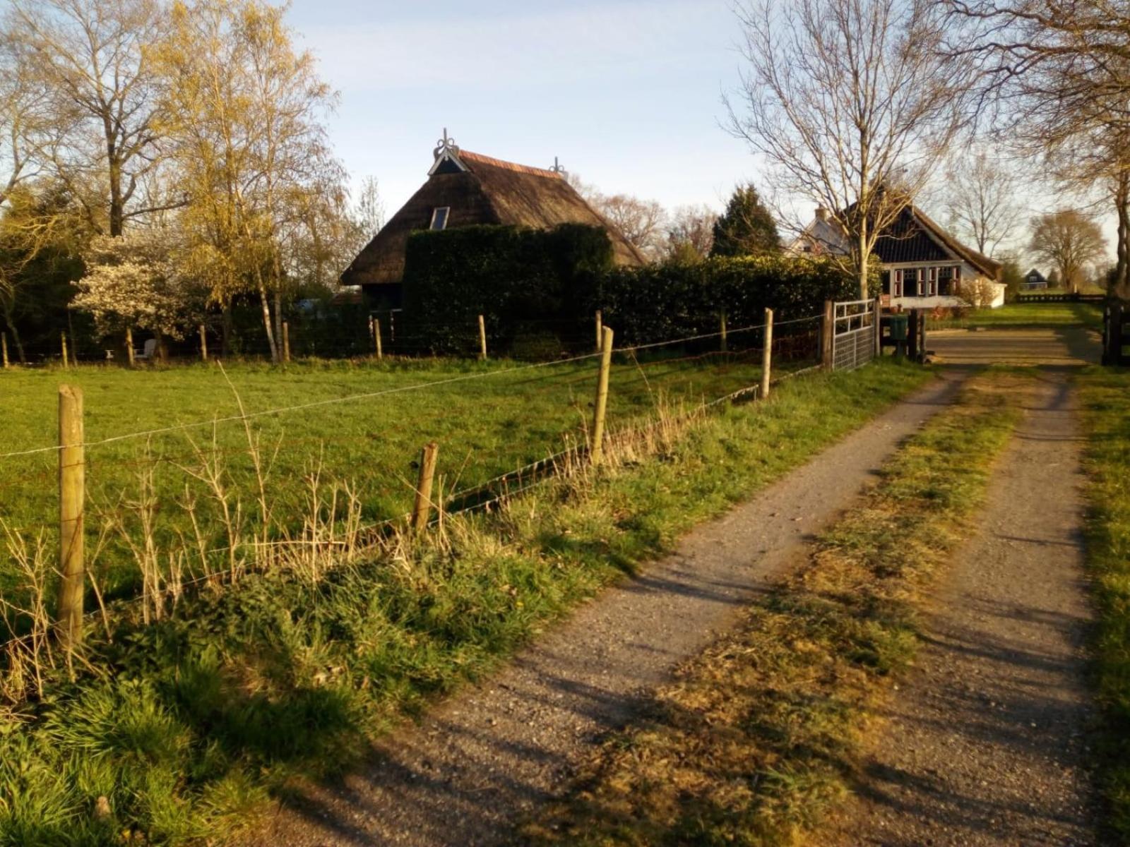 Photo 31