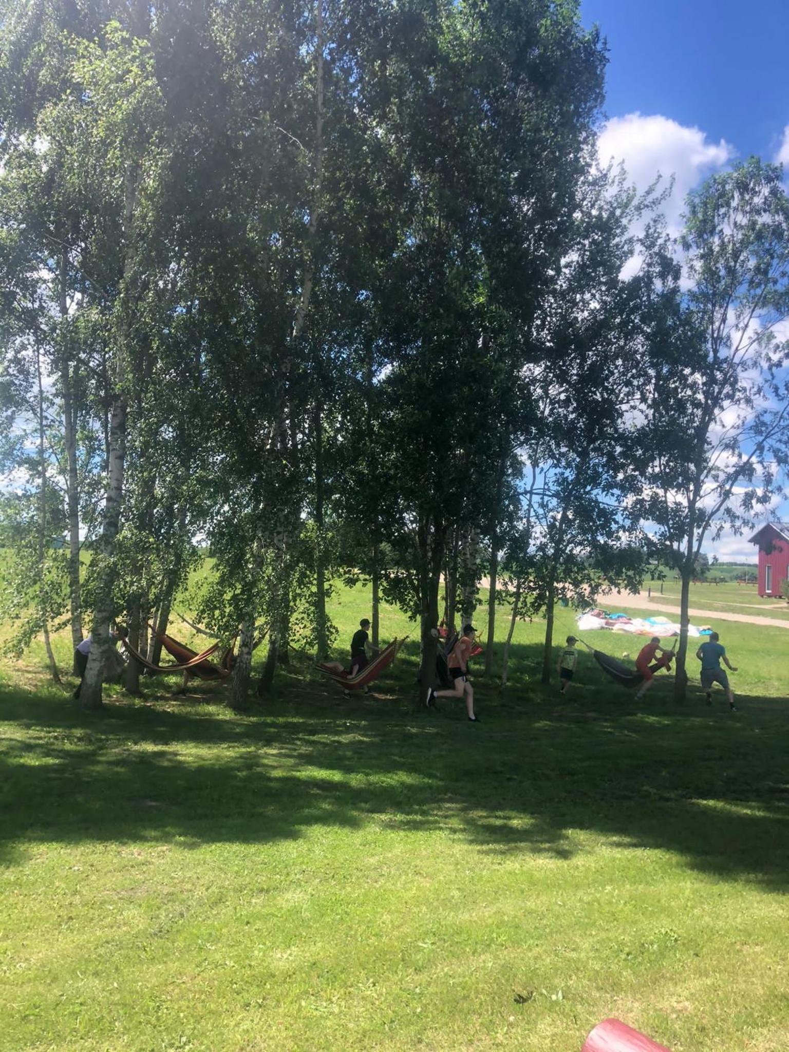 Photo 11
