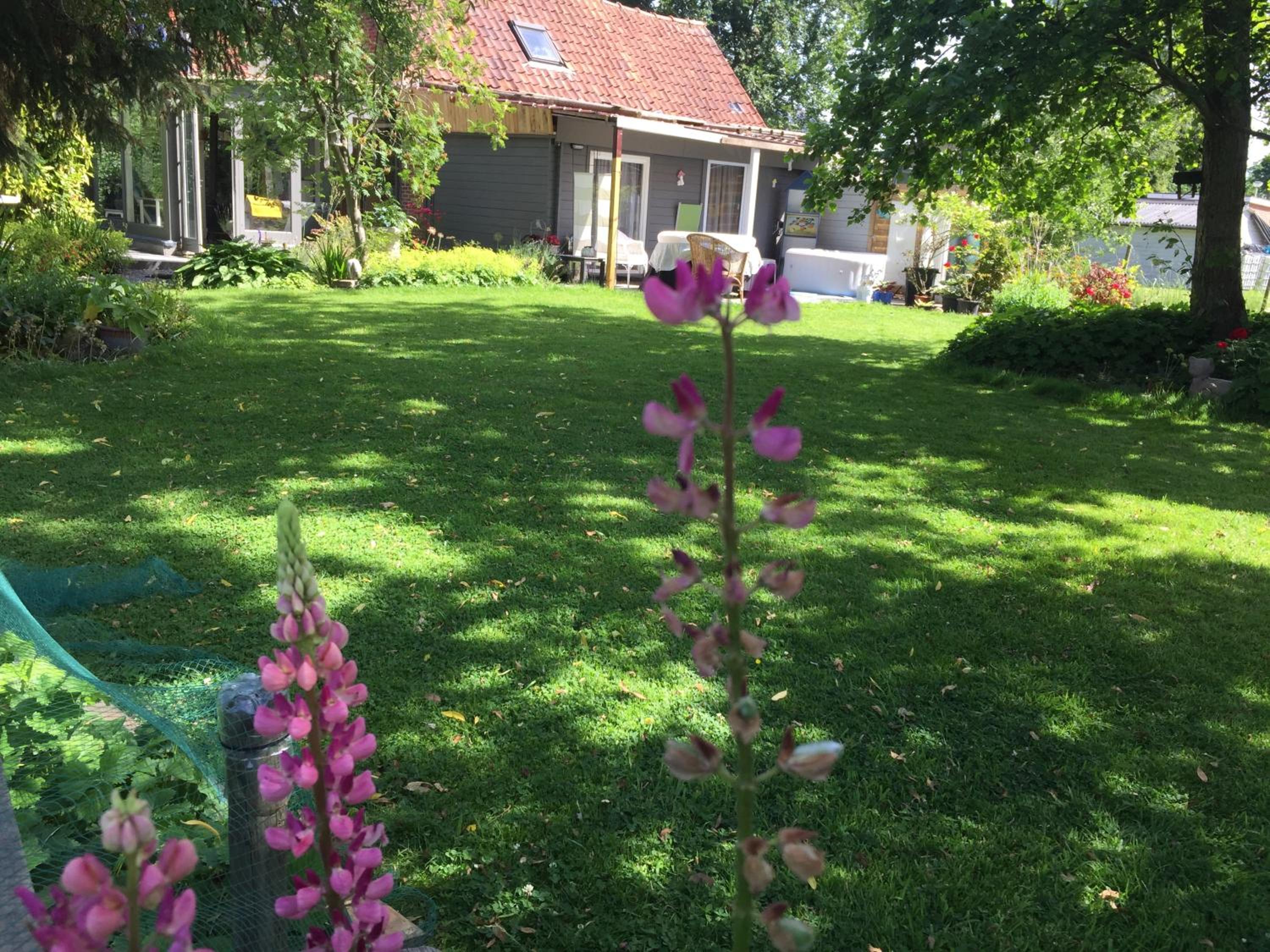B&B 't Gezellig Huizeke