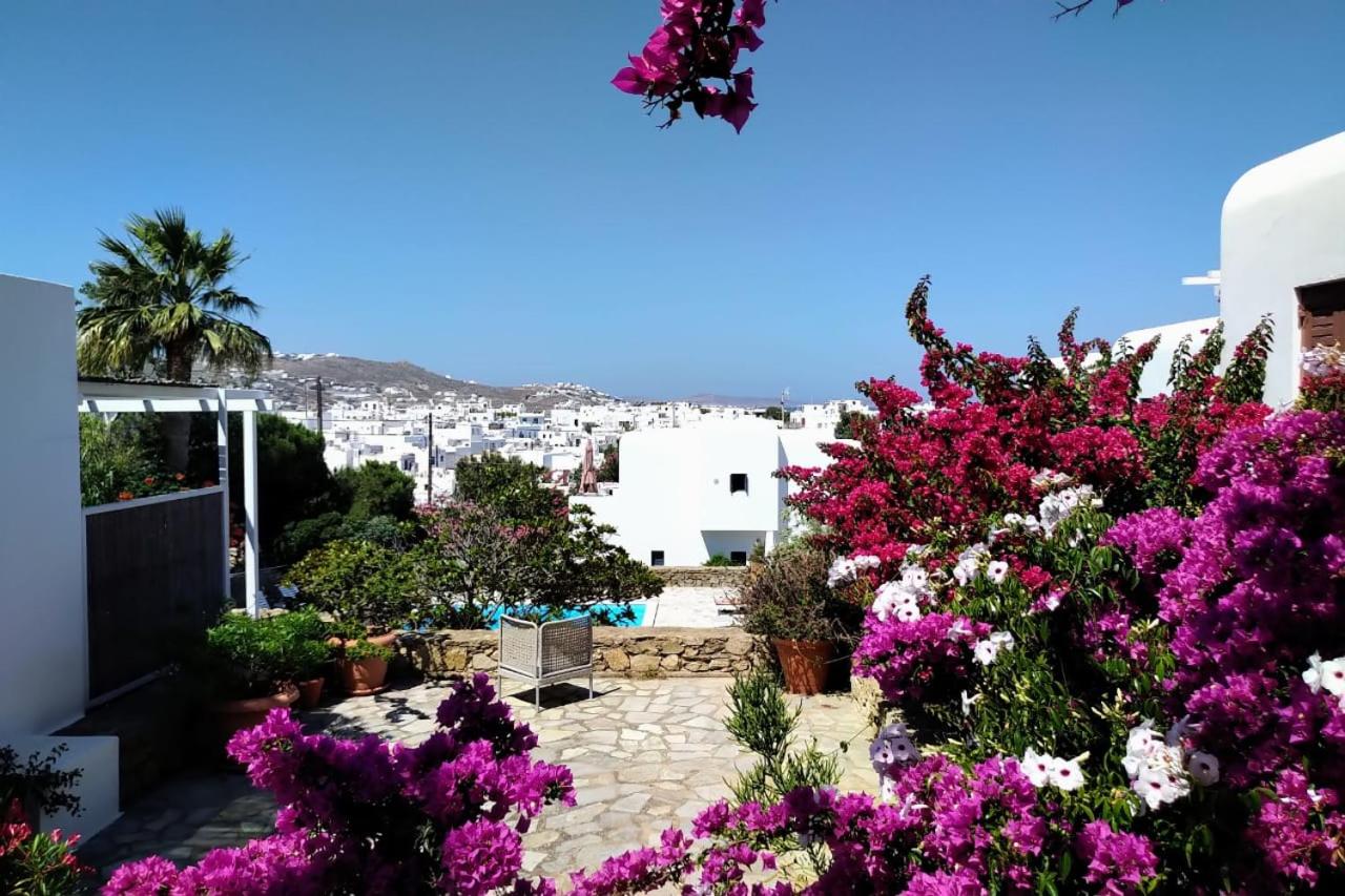 Mykonian White 2 Bedrooms Apartment photo 1