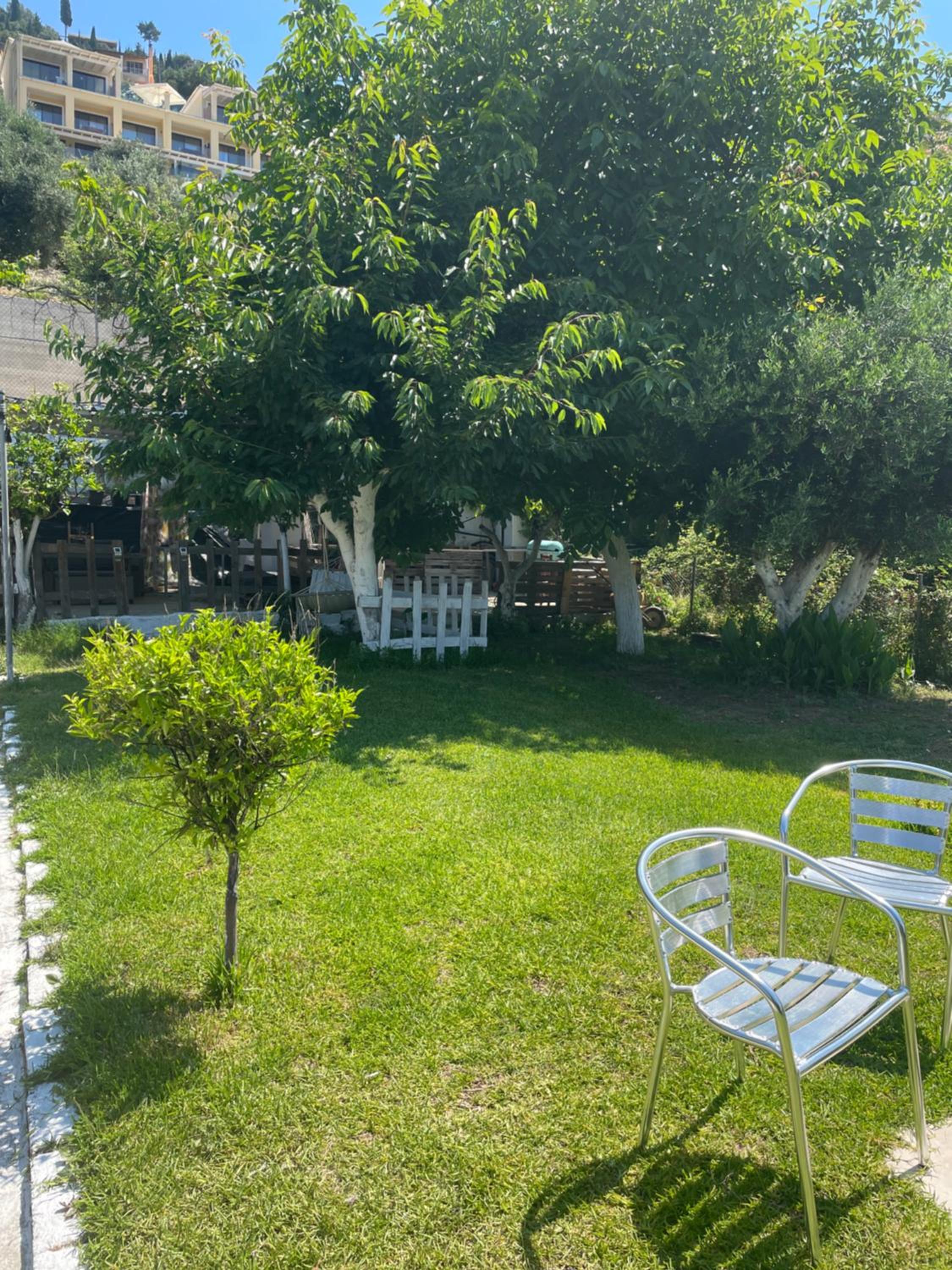 Olive Tree House