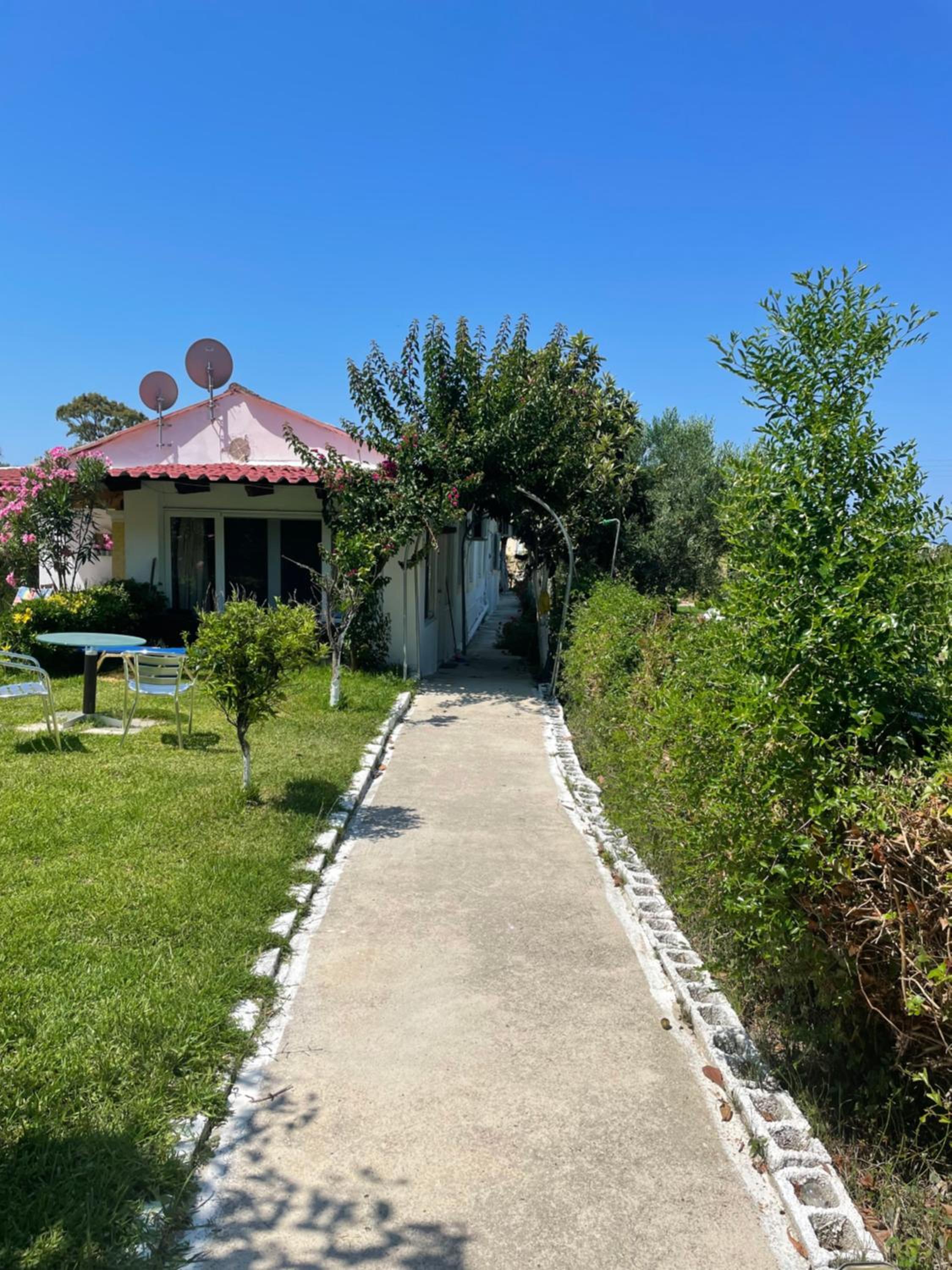 Olive Tree House