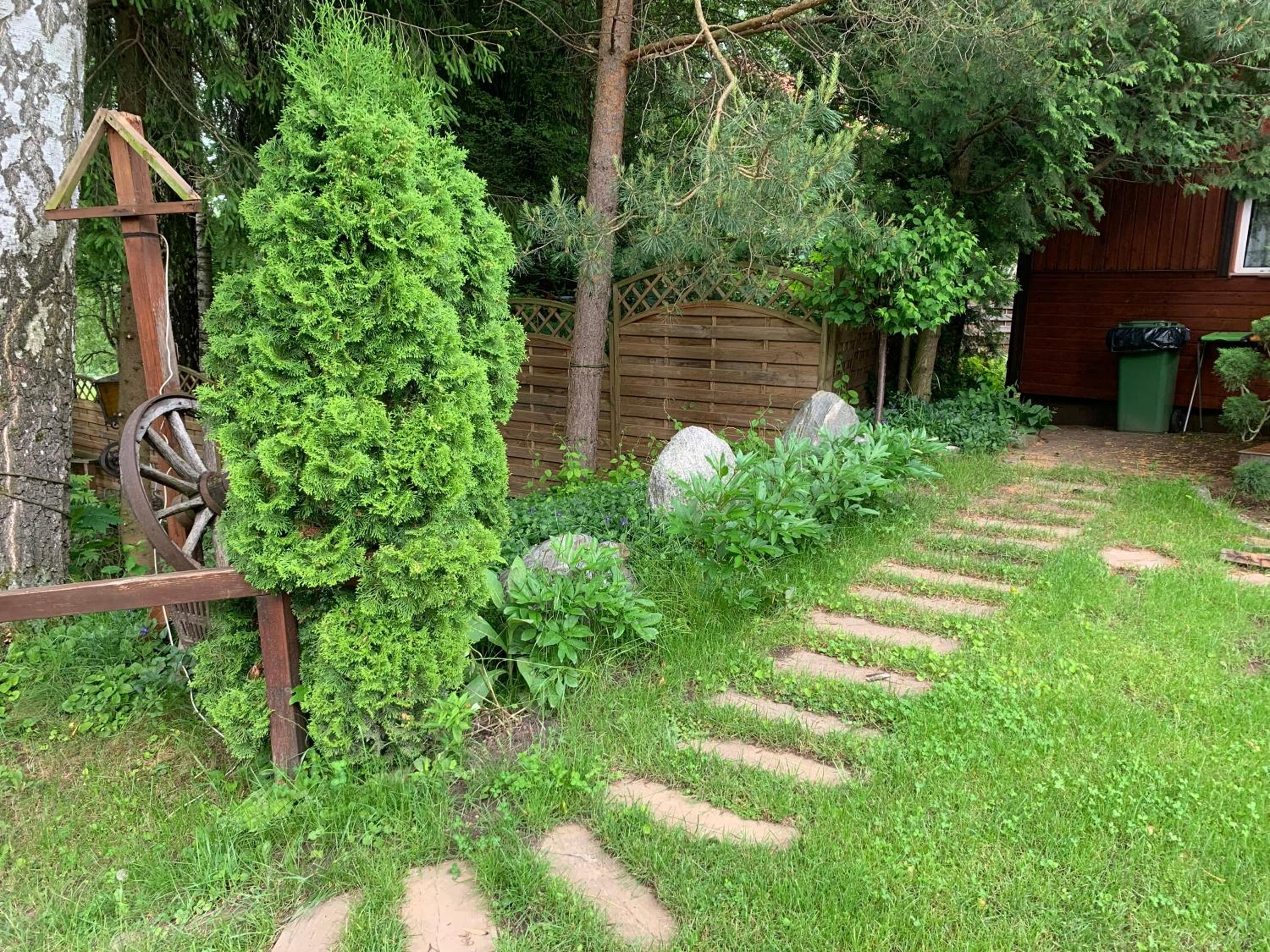 Photo 23