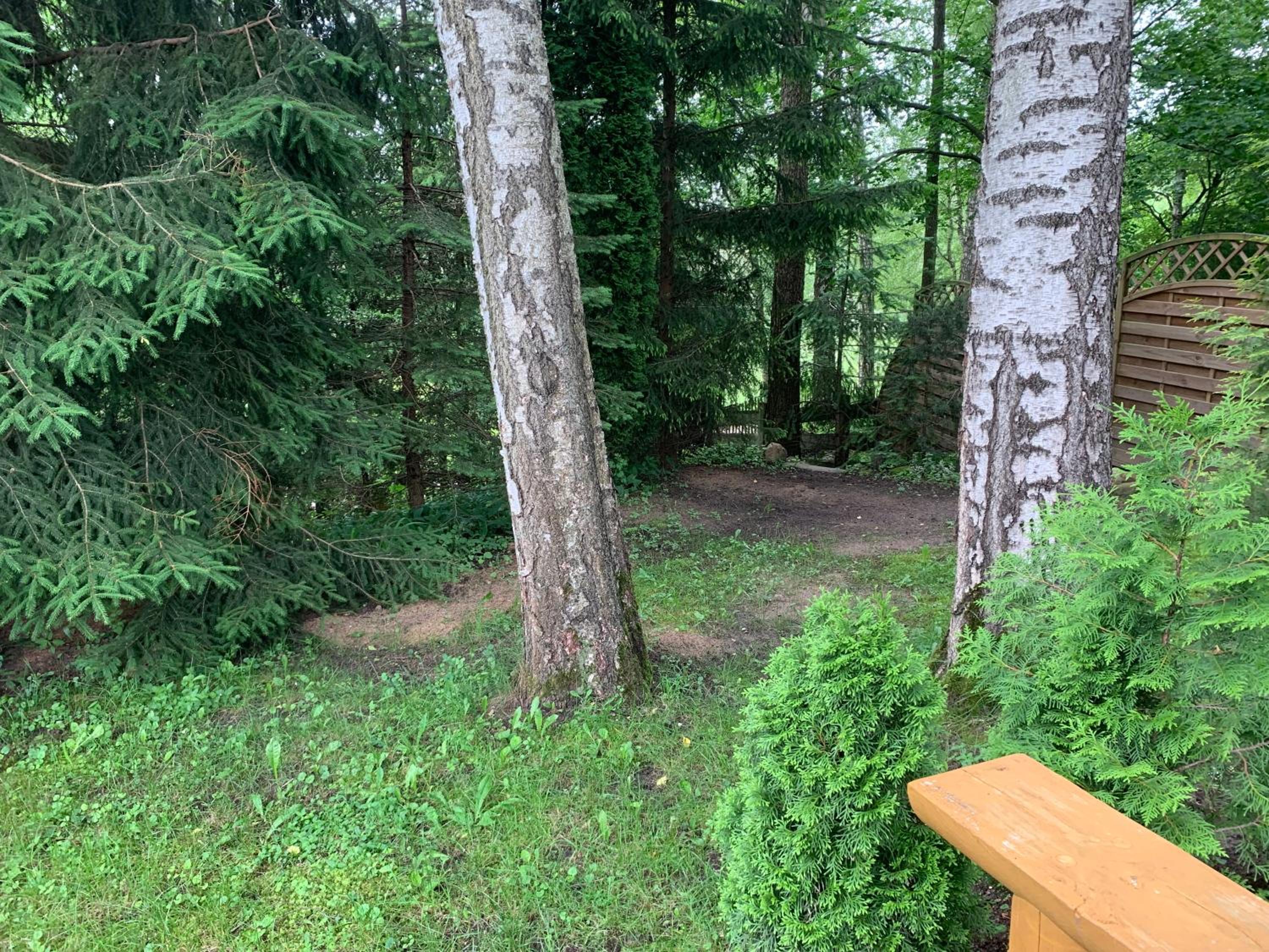 Photo 25