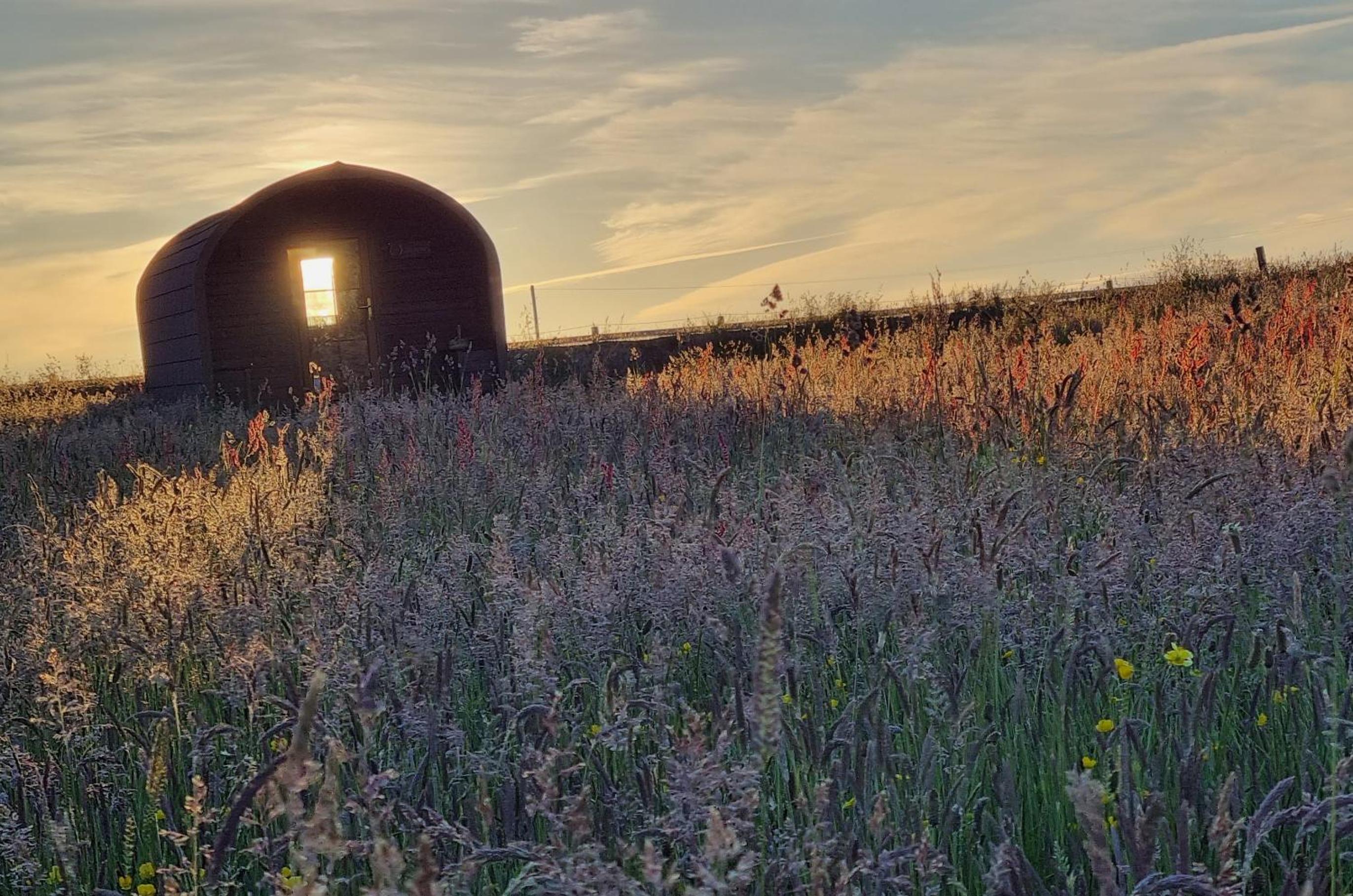 Celaeron Glamping view 4