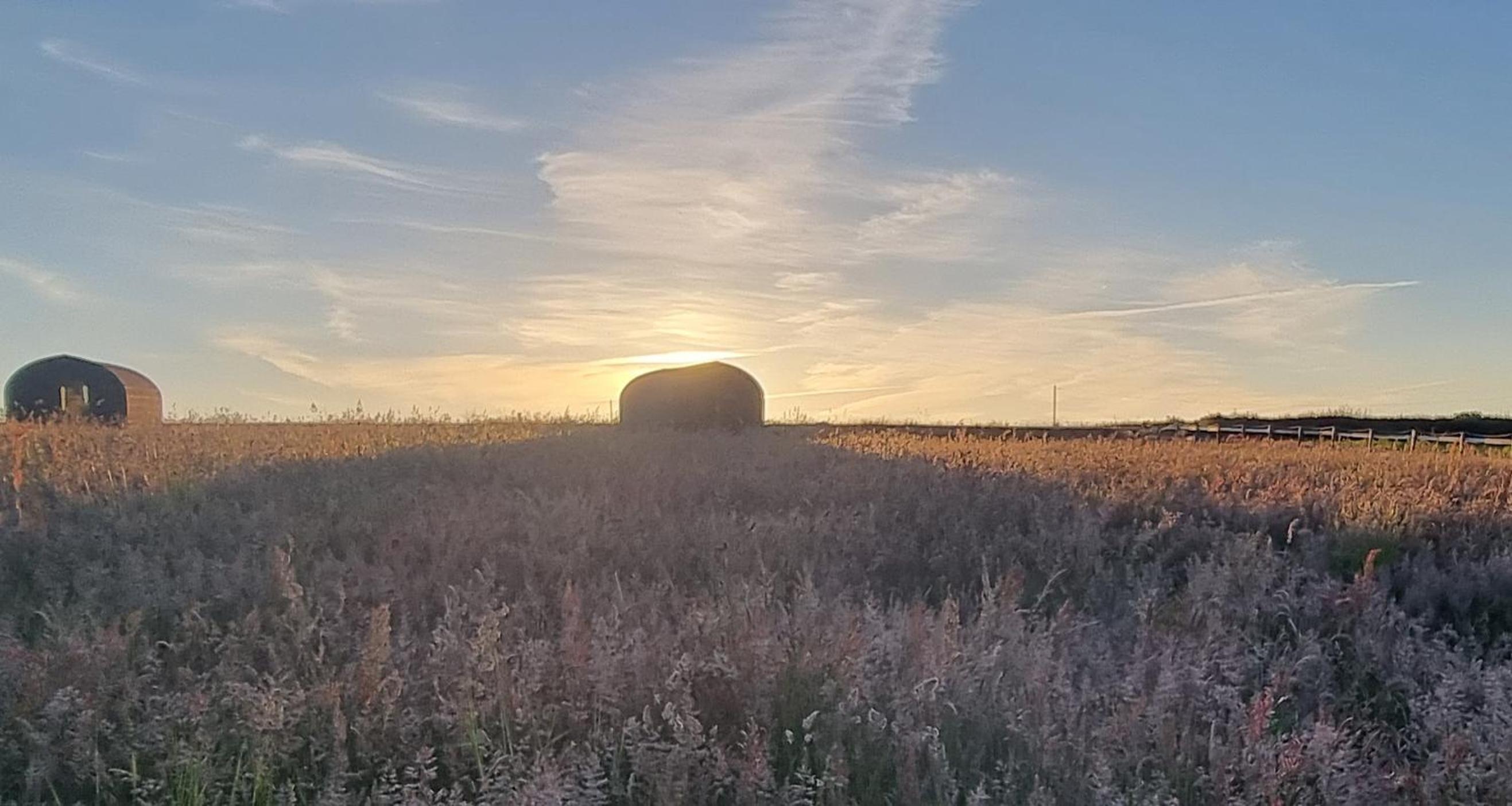 Celaeron Glamping view 5