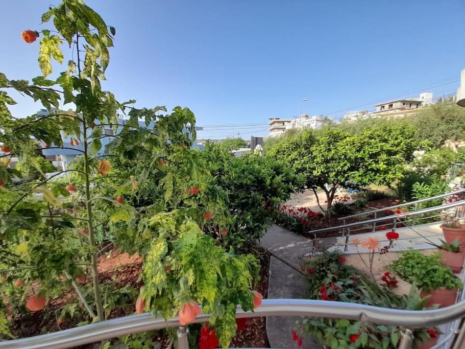 Apartments Meleqi