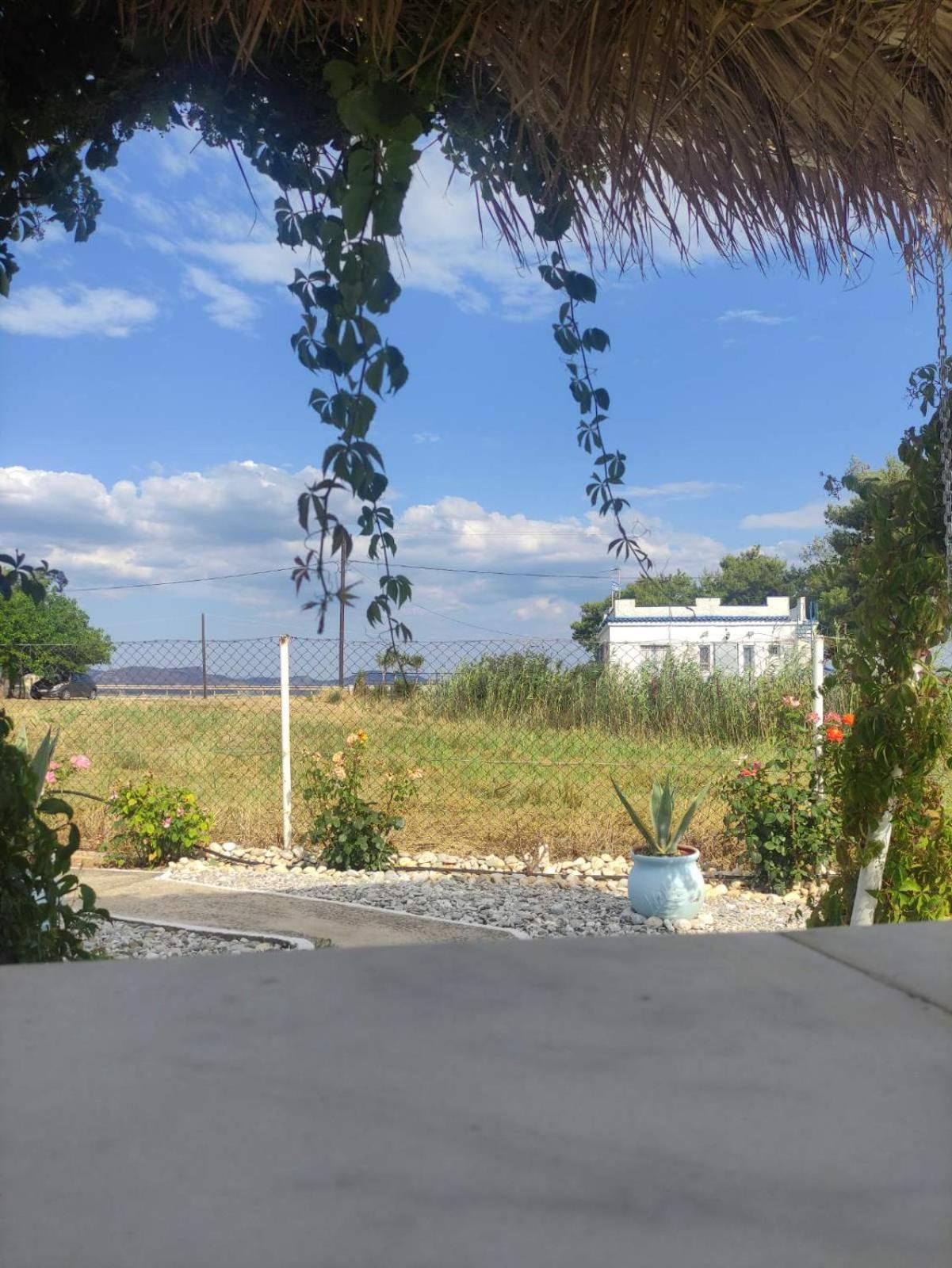 Photo 48