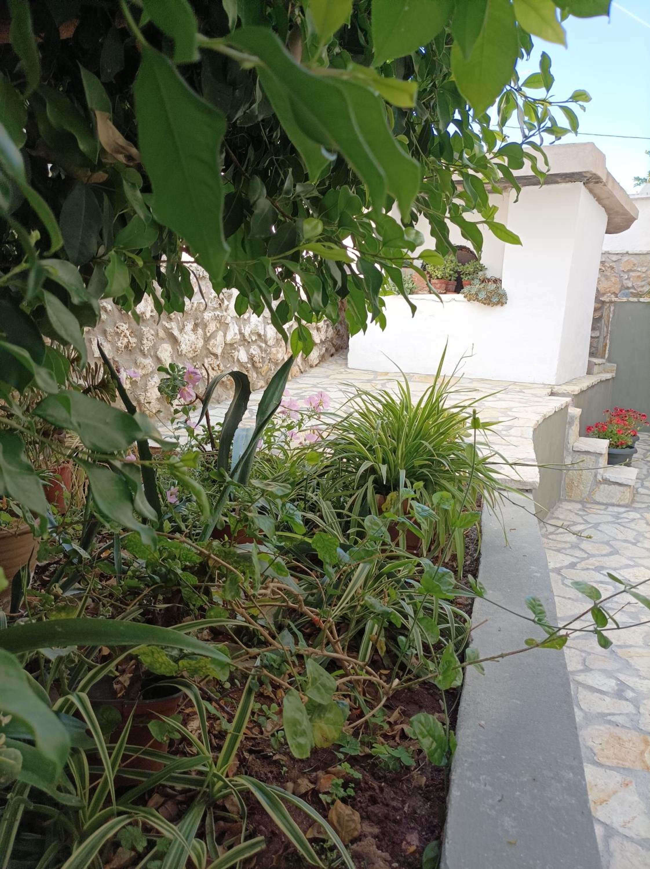 Photo 32