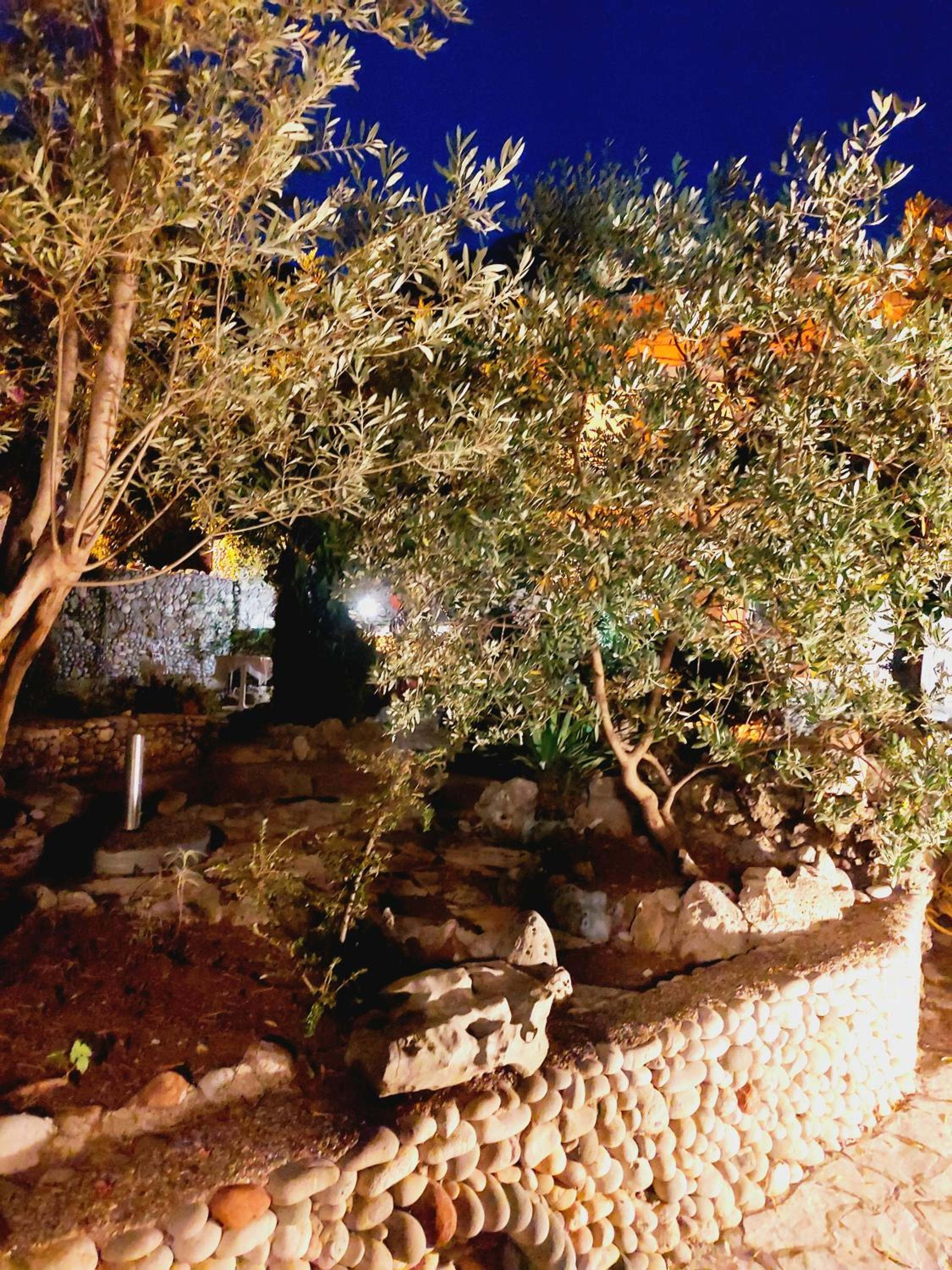Photo 25