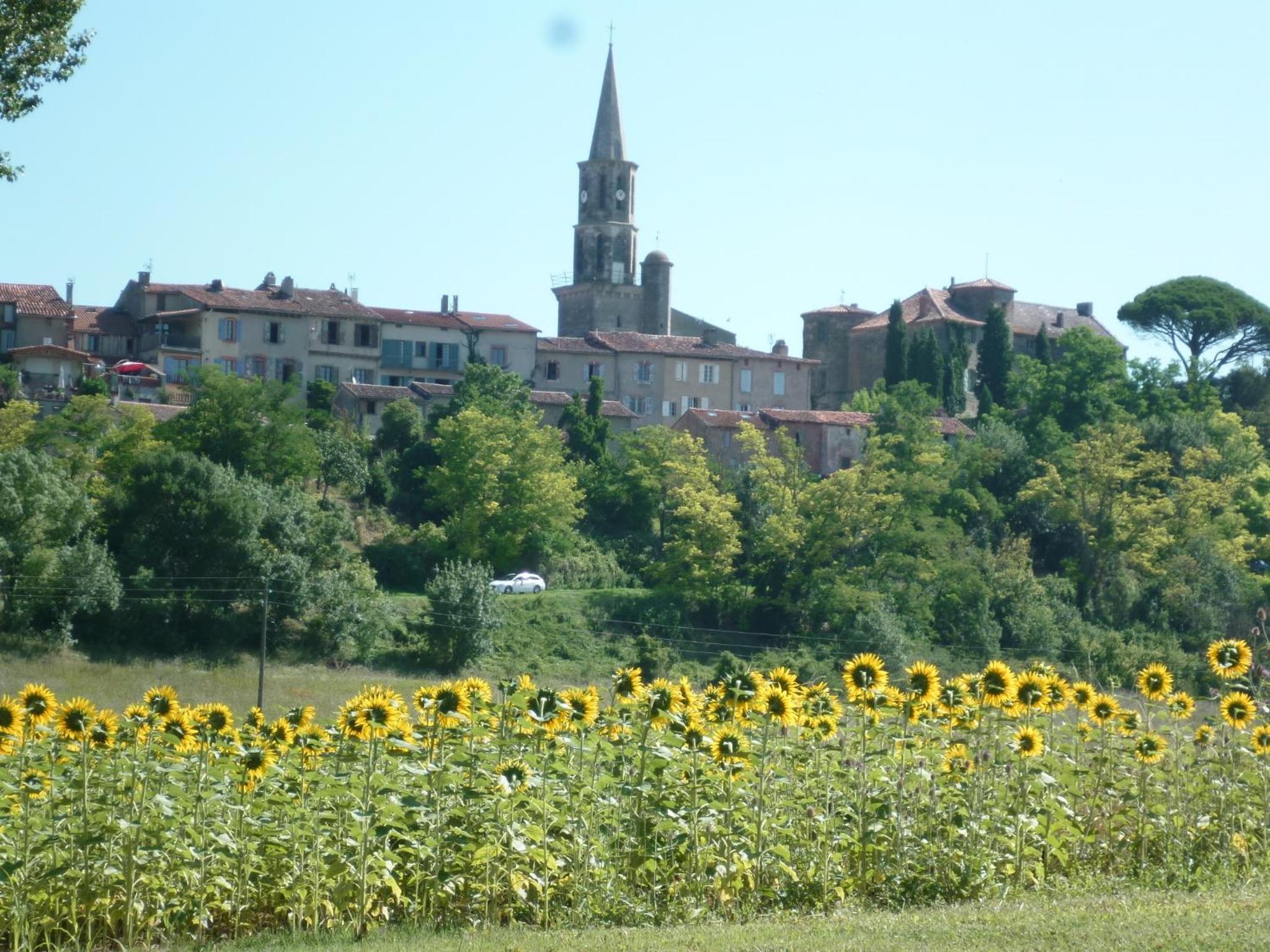 B&B La Ferme de Loubens view 5
