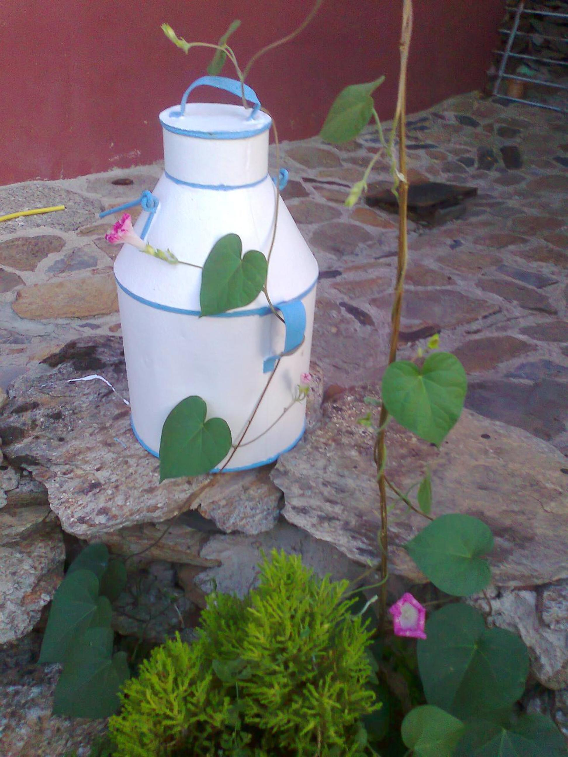 Casa Rural Pájaro Bobo