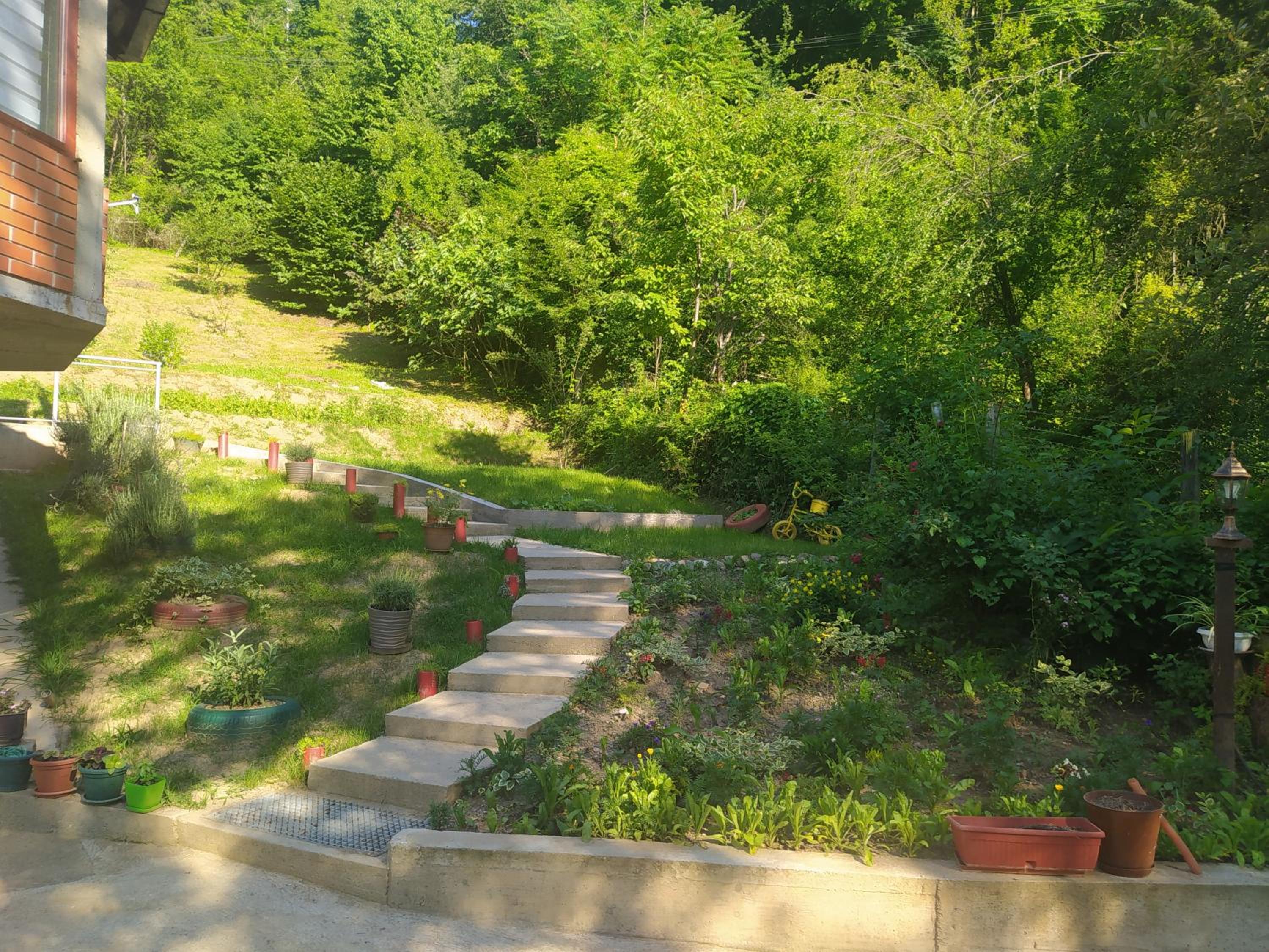 Photo 23