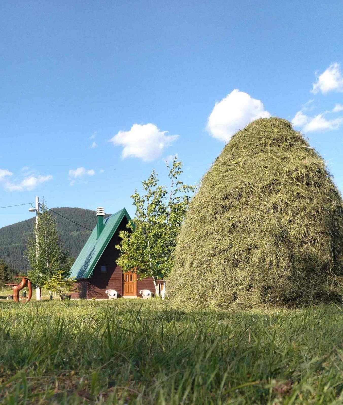 Photo 19