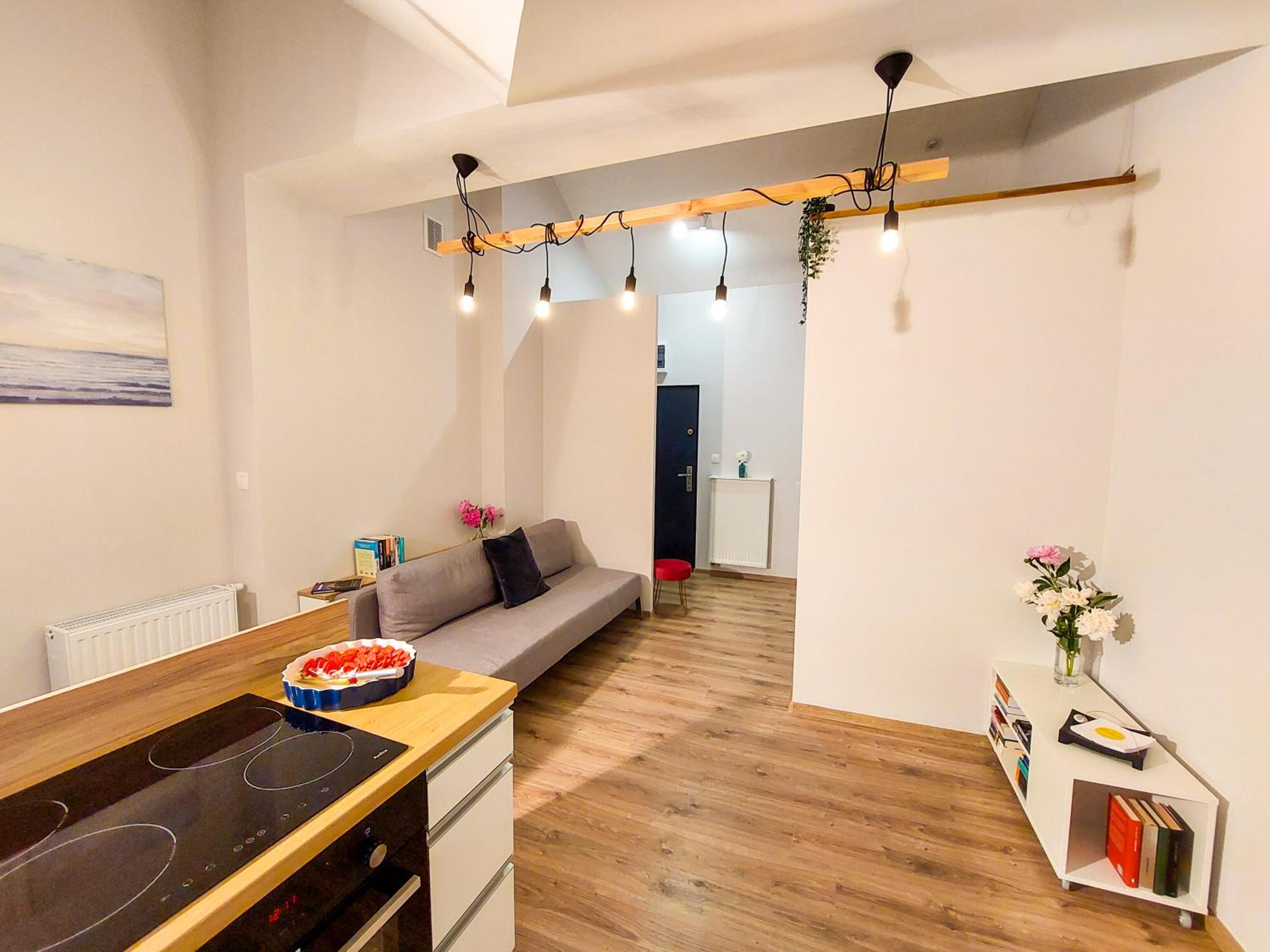 MR HOME APARTMENTS - Limba view 4