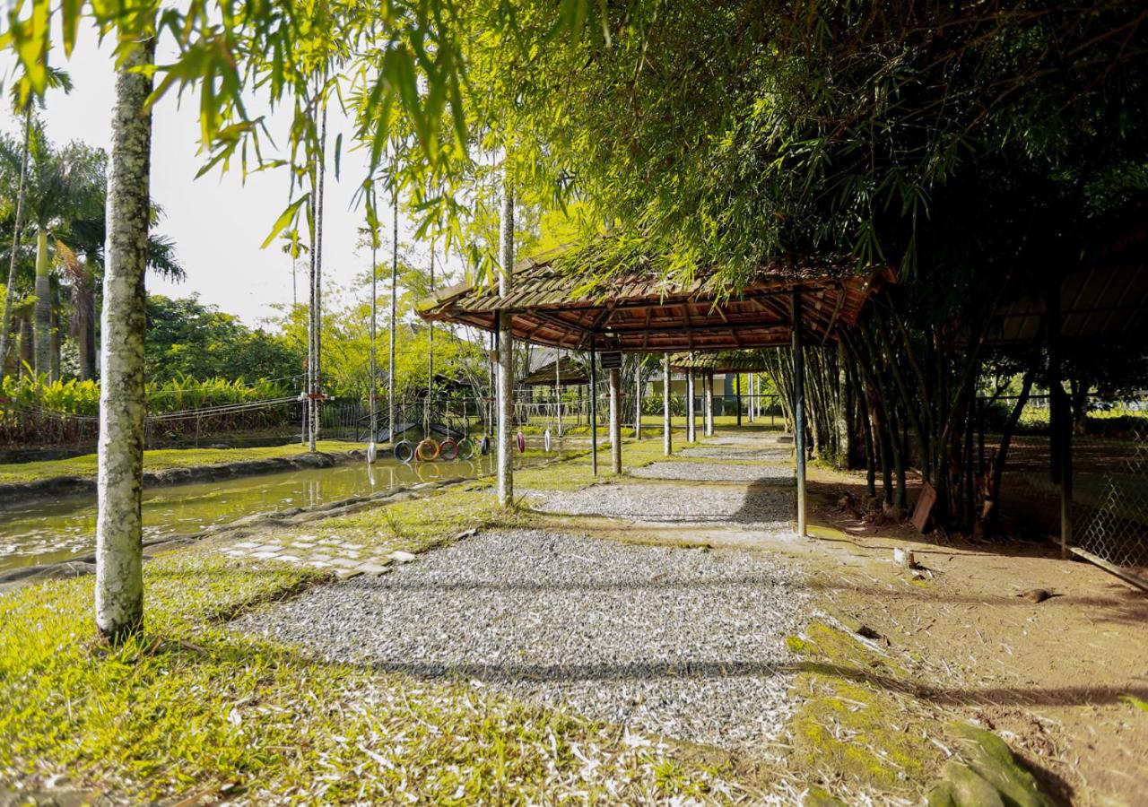 children's play area