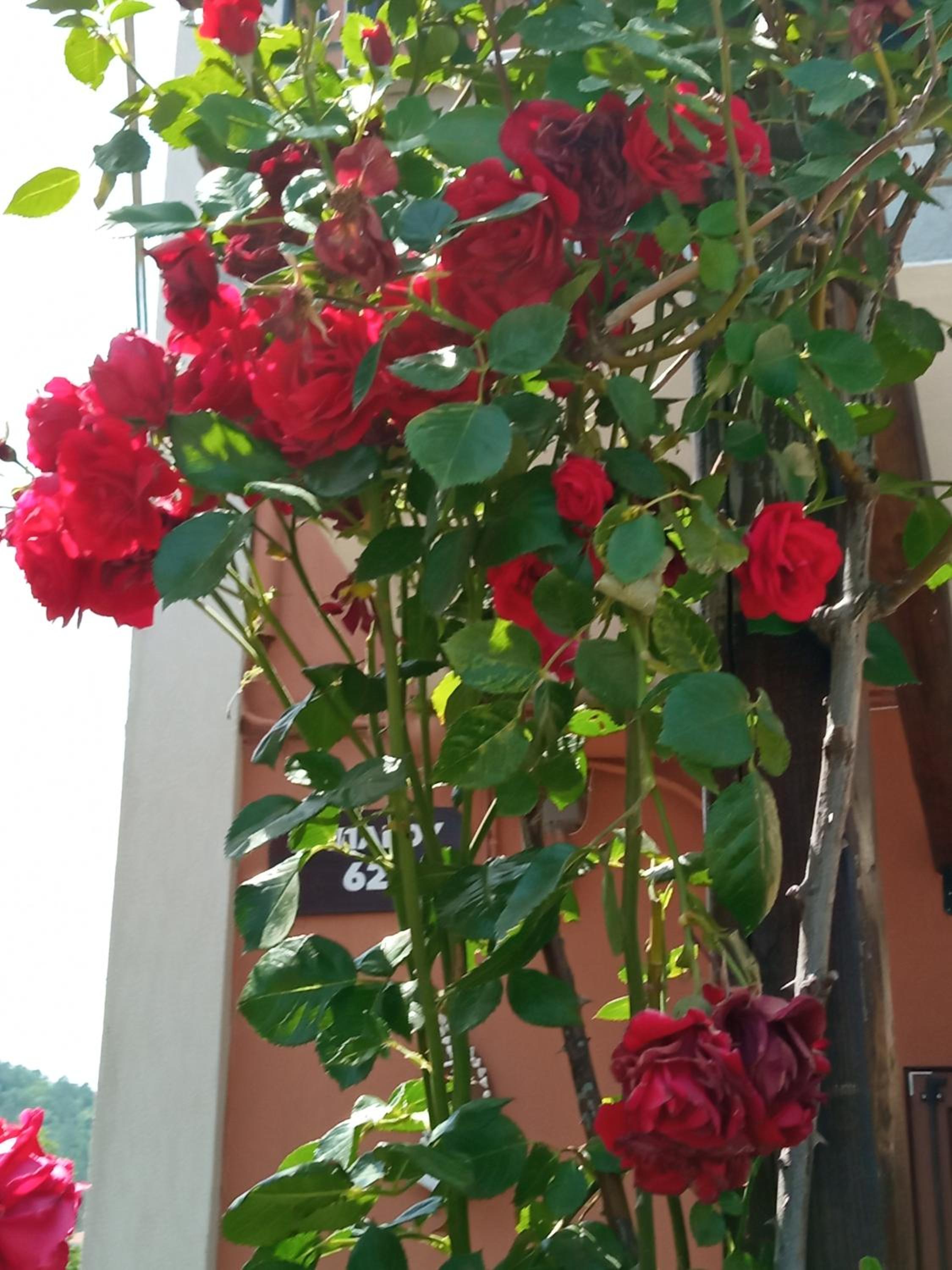 Marika House view 5