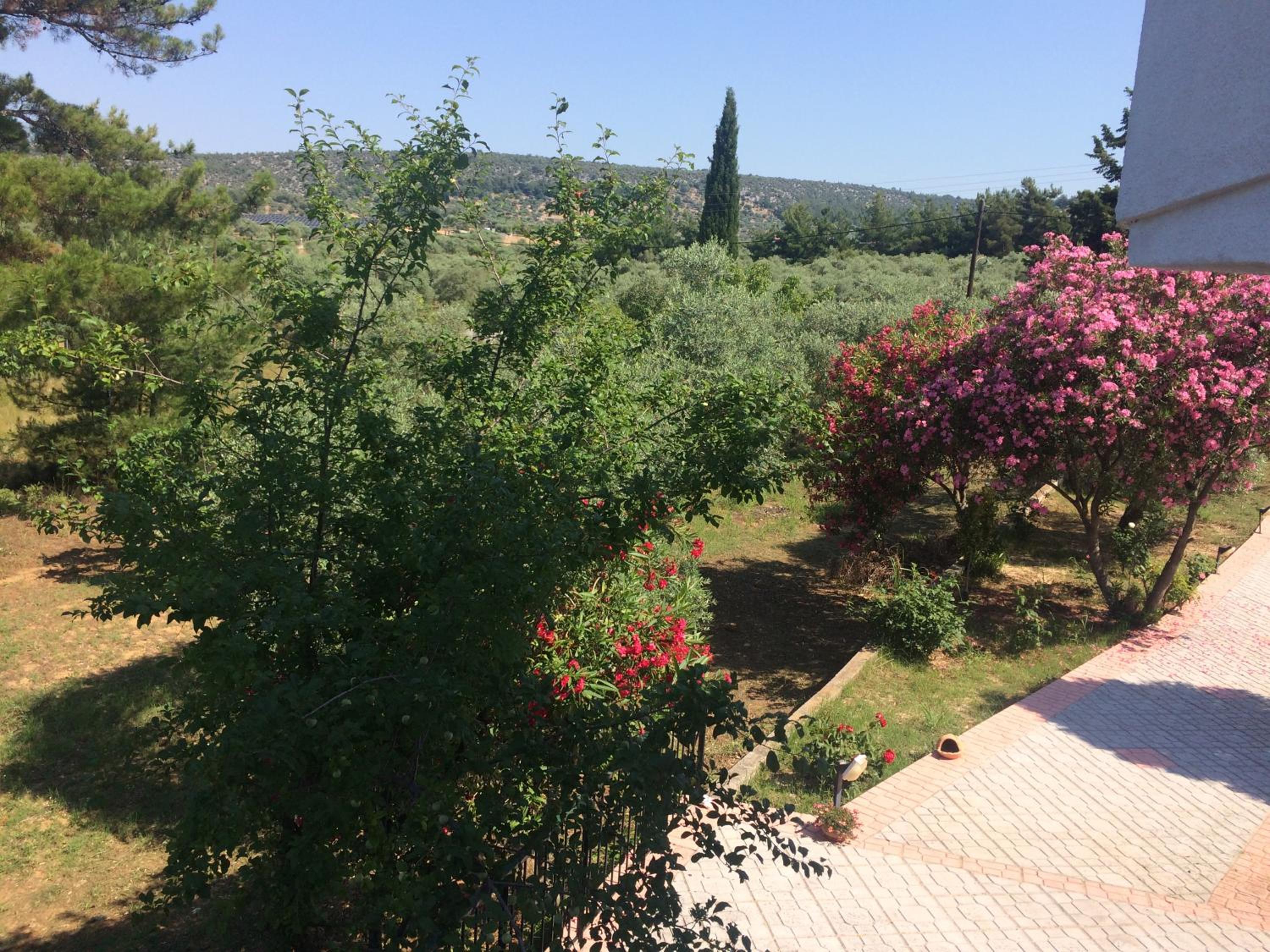 Sofia Villa view 2