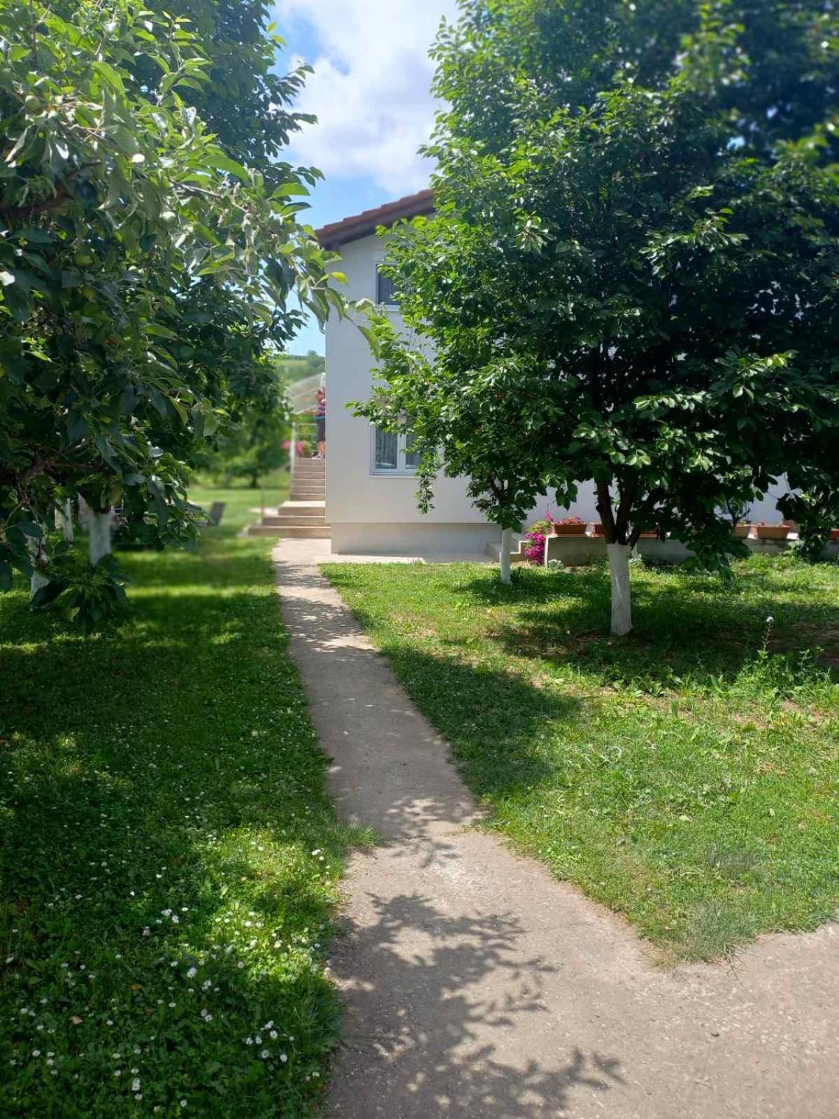 Apartman Flora Vrdnik