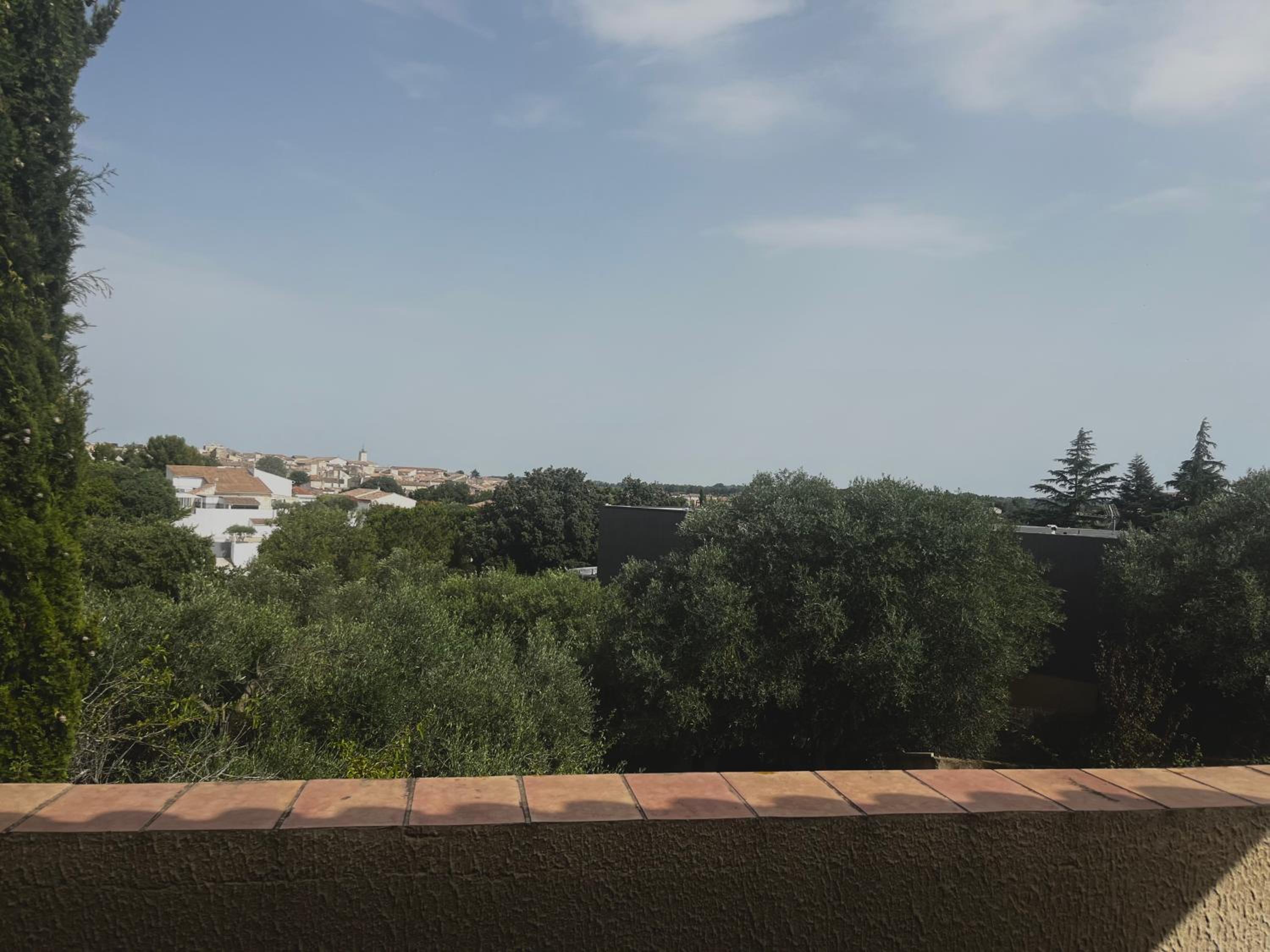 Le Mazet de choubouloute view 2