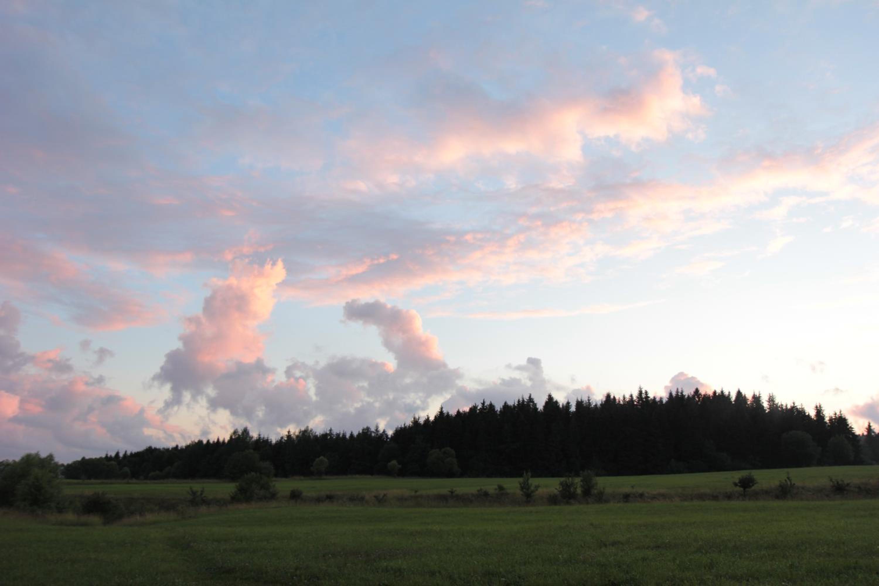 Mazury Garbate. Dom II przy Cisowym Jarze view 2