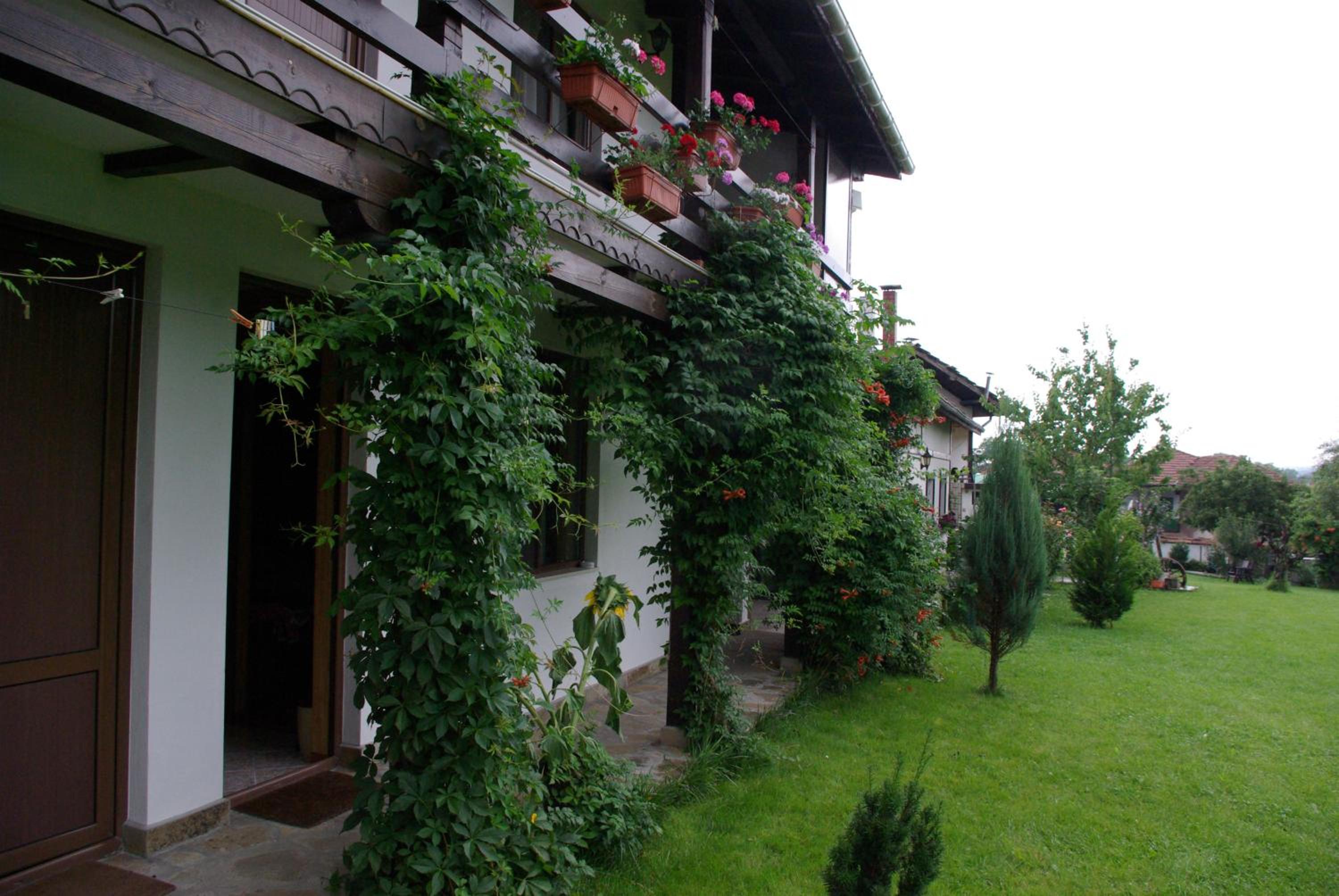 Guest House Dan Kolov