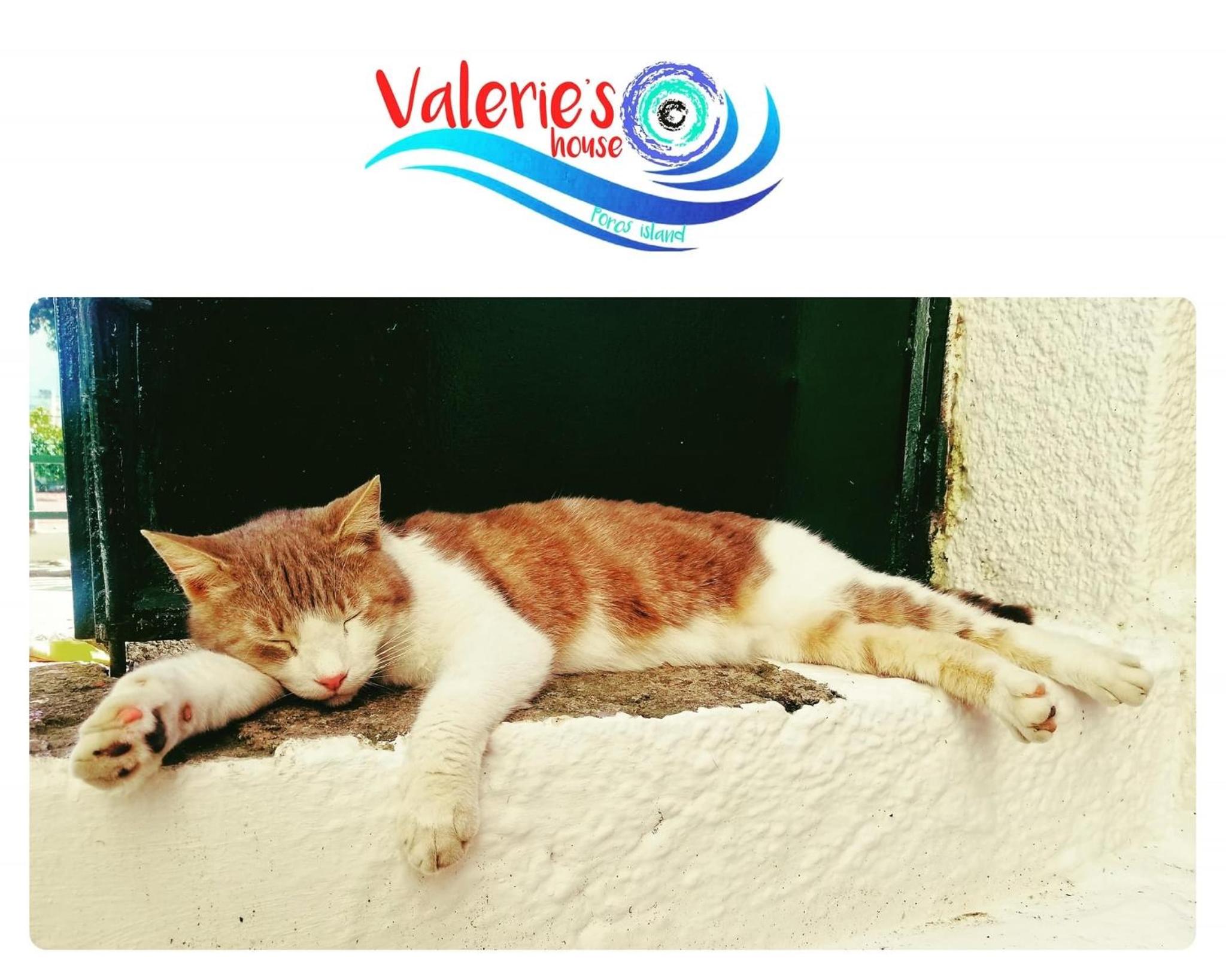 Valerie's House photo 5