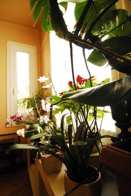Apartment with Roof Garden - American Embassy Area - Fast Internet