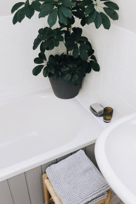 'The Studio' Designer, seaside cottage